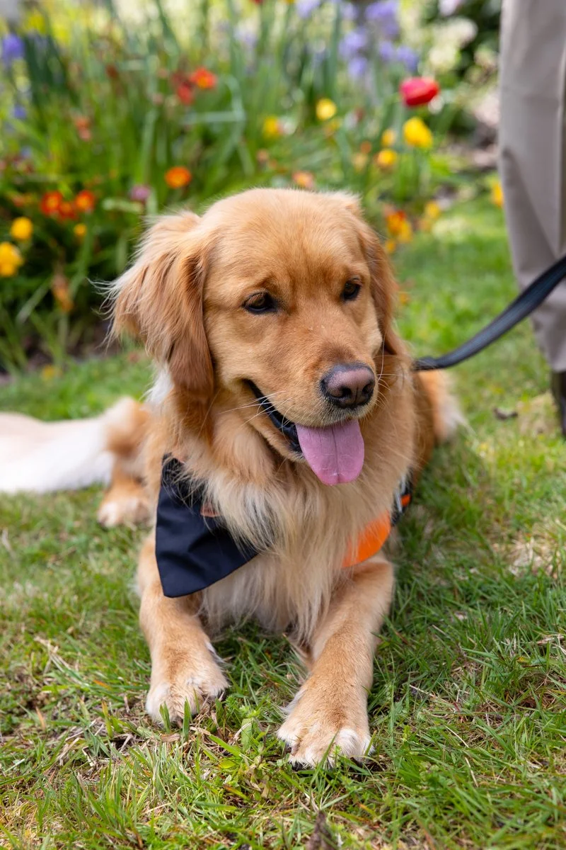 Ruby Bay Wedding-6.jpg