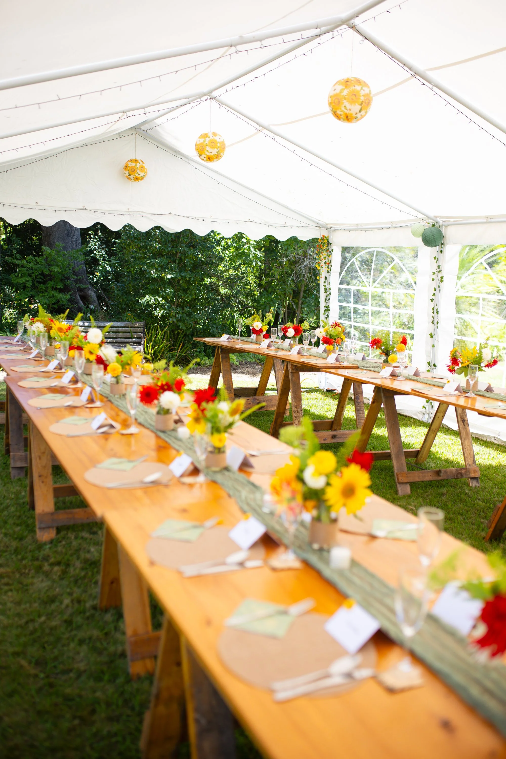 Nelson backyard wedding10.jpg