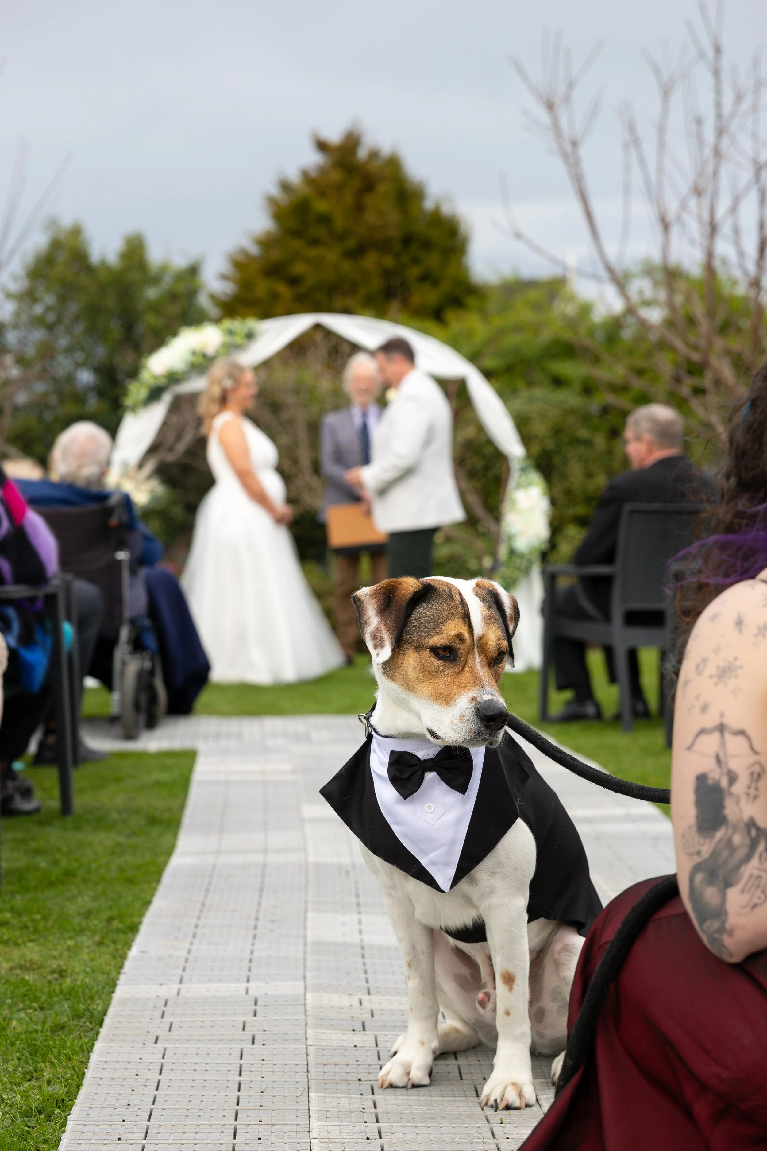 Motueka Wedding Photographer7.jpg