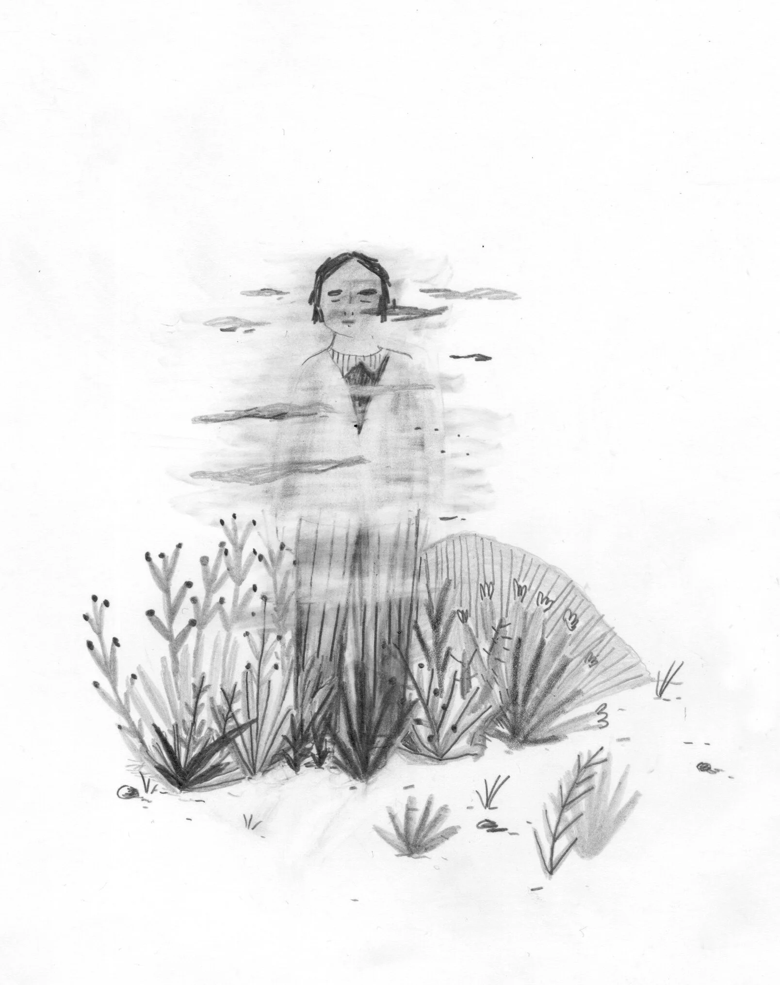 Siel1.jpg