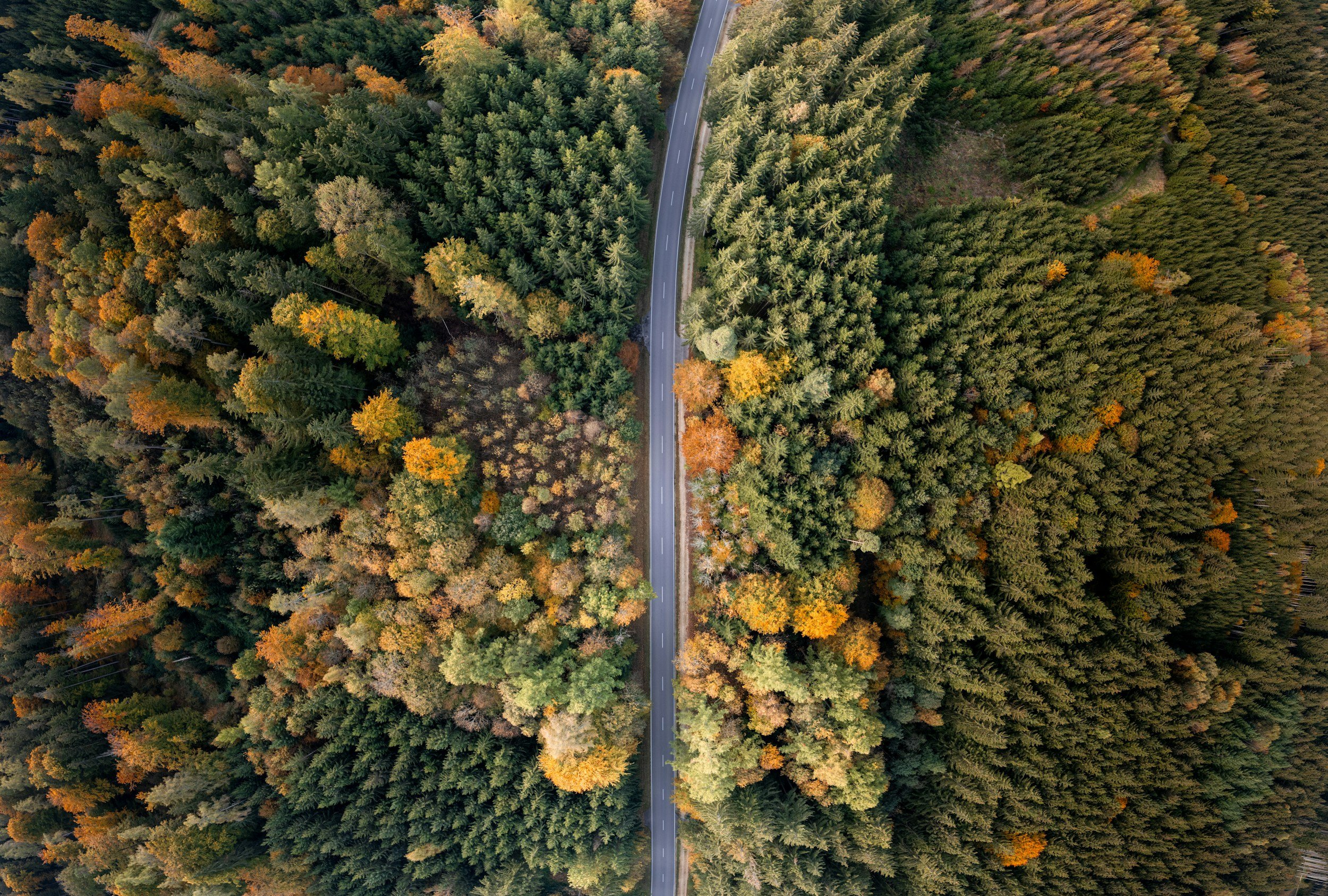 Coaching și meditație