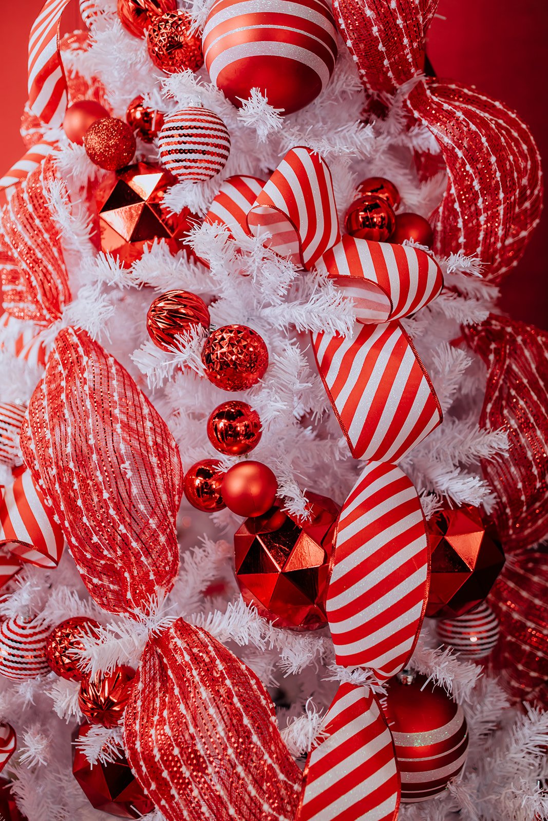 AmandaTheresePhotography-GalleryXmasPreview-31_websize.jpg