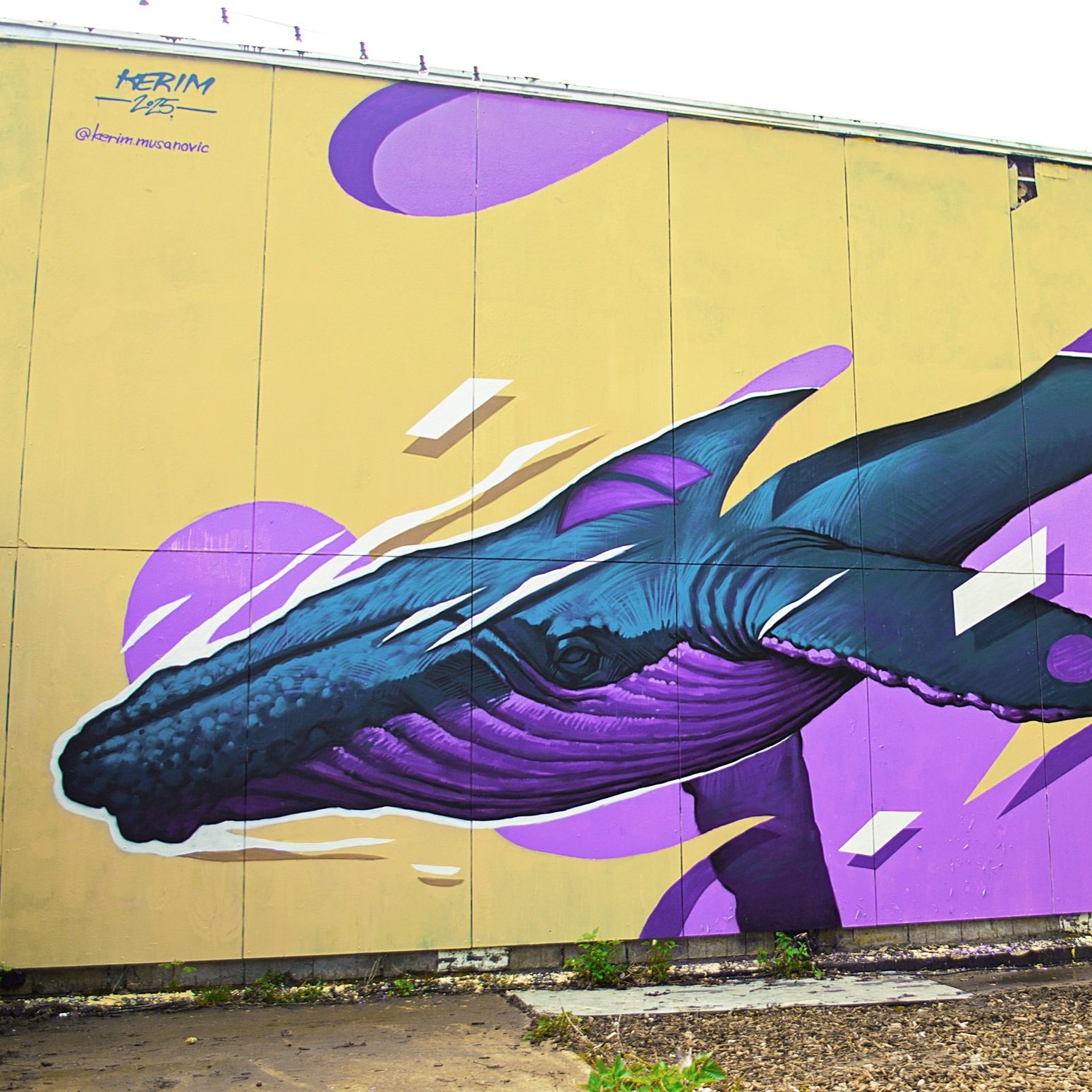 LOST WHALE