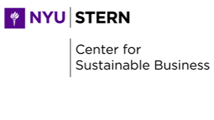 NYU Stern Sustainable Market Share Index 2024 report showing sustainable products growing faster than conventional products and gaining market share