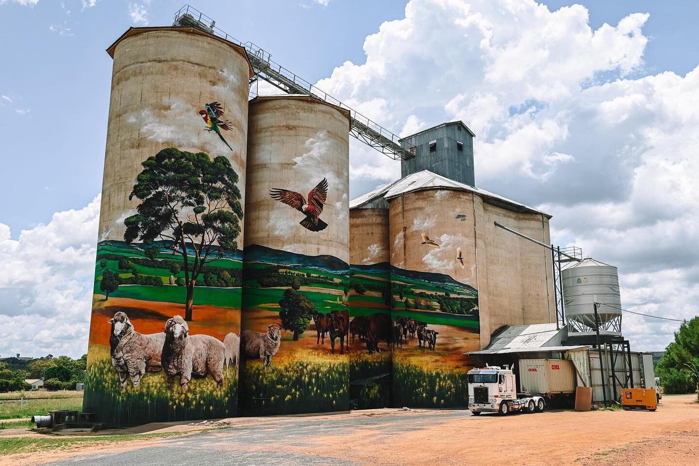 📍Grenfell Silo Art - New South Wales

Location: 36 West Street, Grenfell, NSW
Artist: Heesco Khosnaran

The 1926 Grain Silos at Grenfell are proudly owned by Grenfell Commodities and it was the initiative of the founder, Peter Mawhinney, to commissi