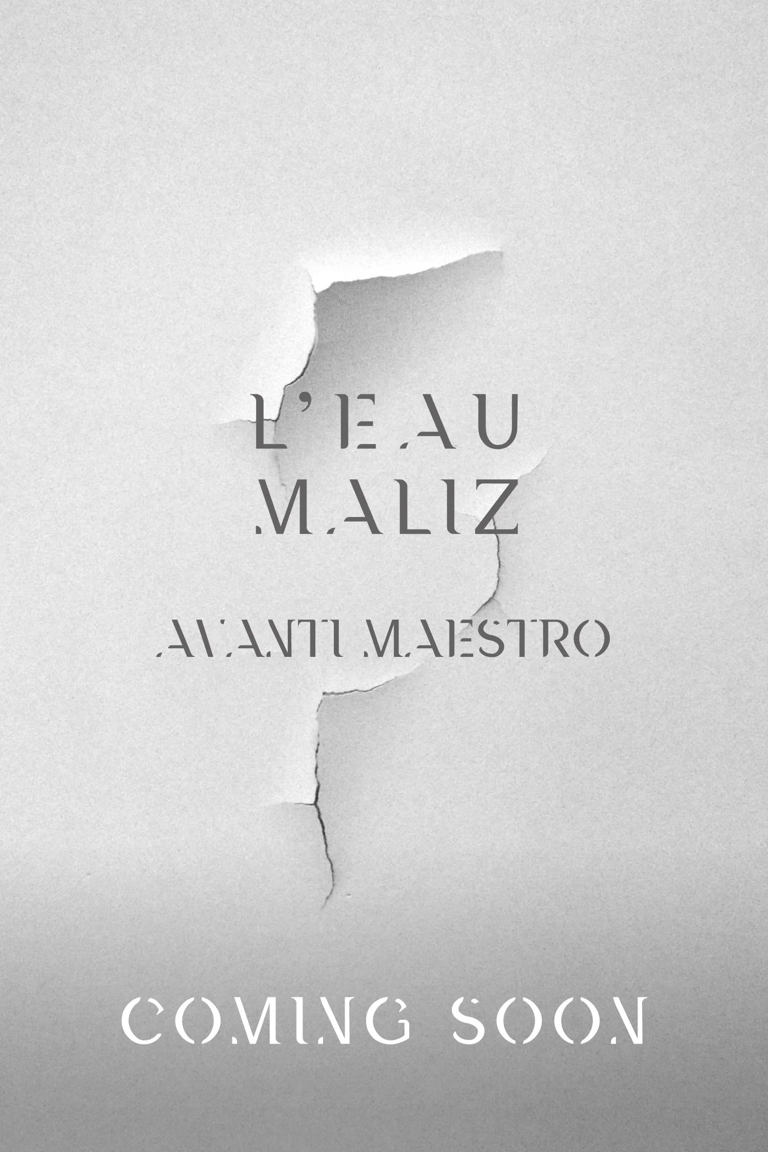 ComingSoon_Sito_AvantiMaestro.jpg