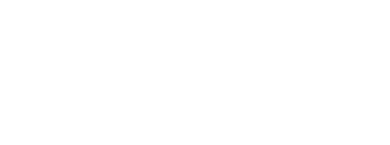 Conscious Consulting