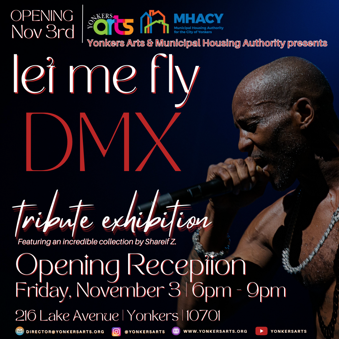 dmx+tribute+exhibition+graphic.png