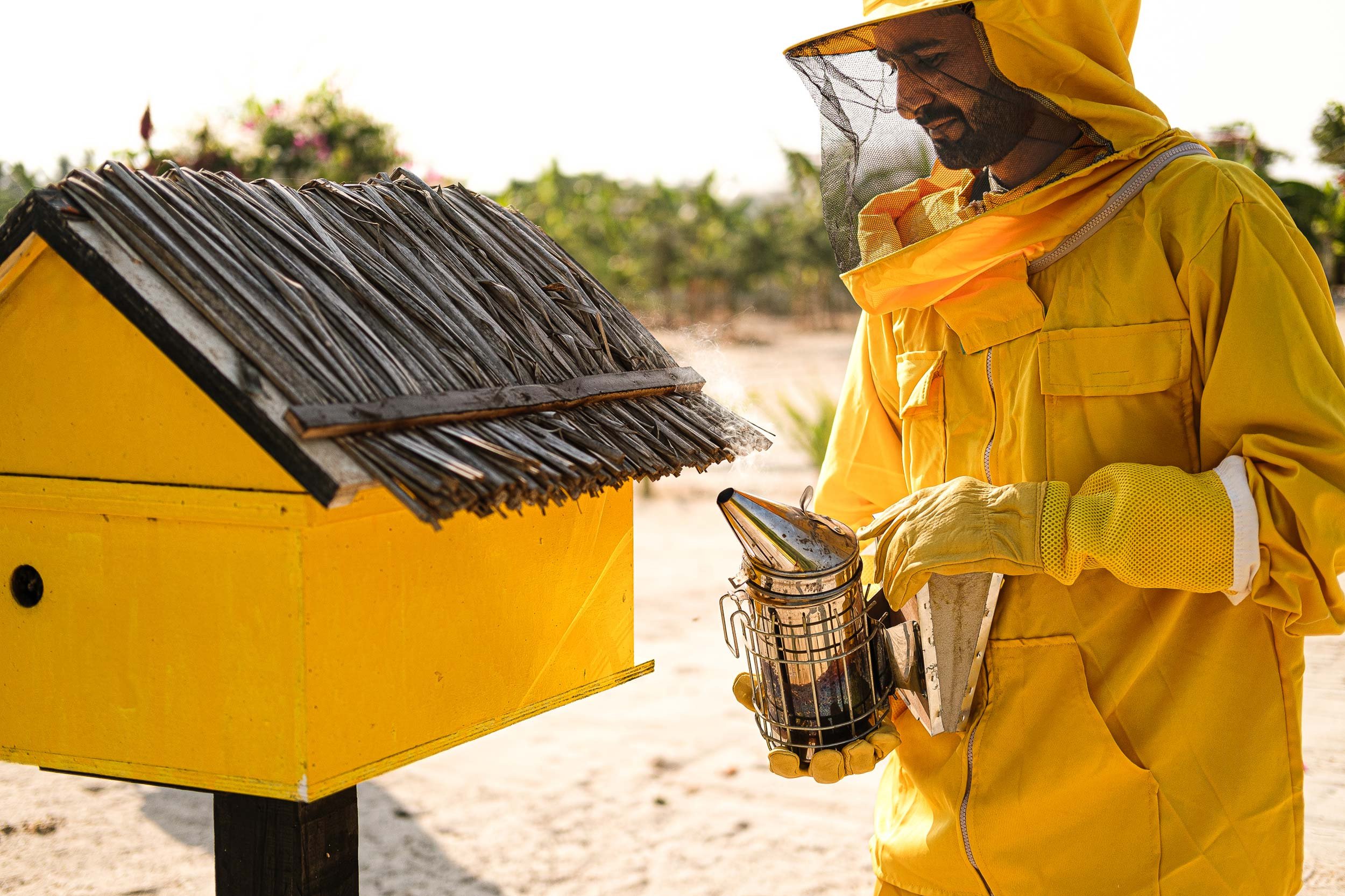 A man in a yellow bee suit and gloves collecting honey from a beehive.