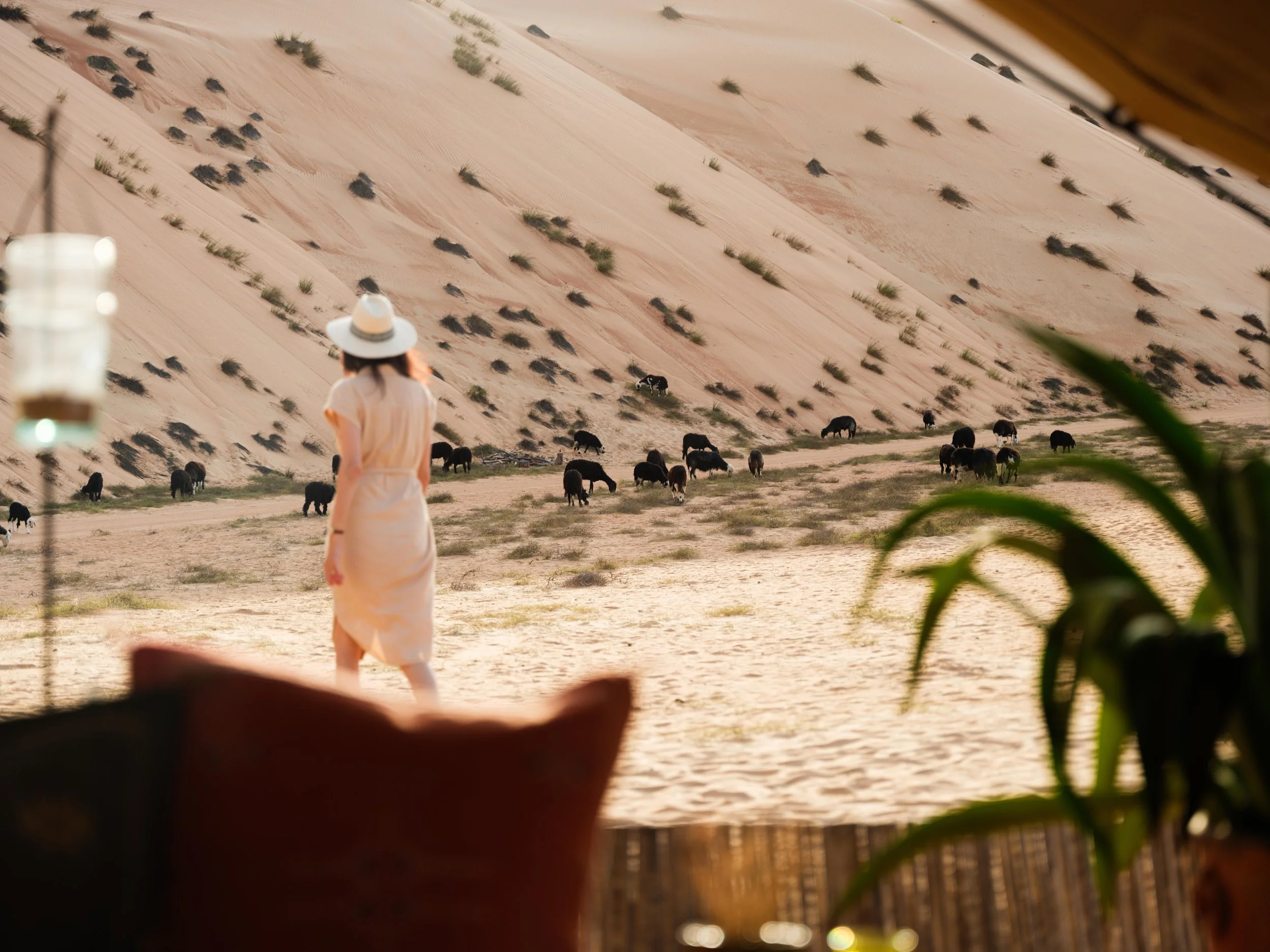 A person wearing a dress and hat stands in a sandy desert landscape, with goats grazing in the background. Sand dunes with sparse vegetation are visible, and the scene is framed by blurred objects in the foreground.