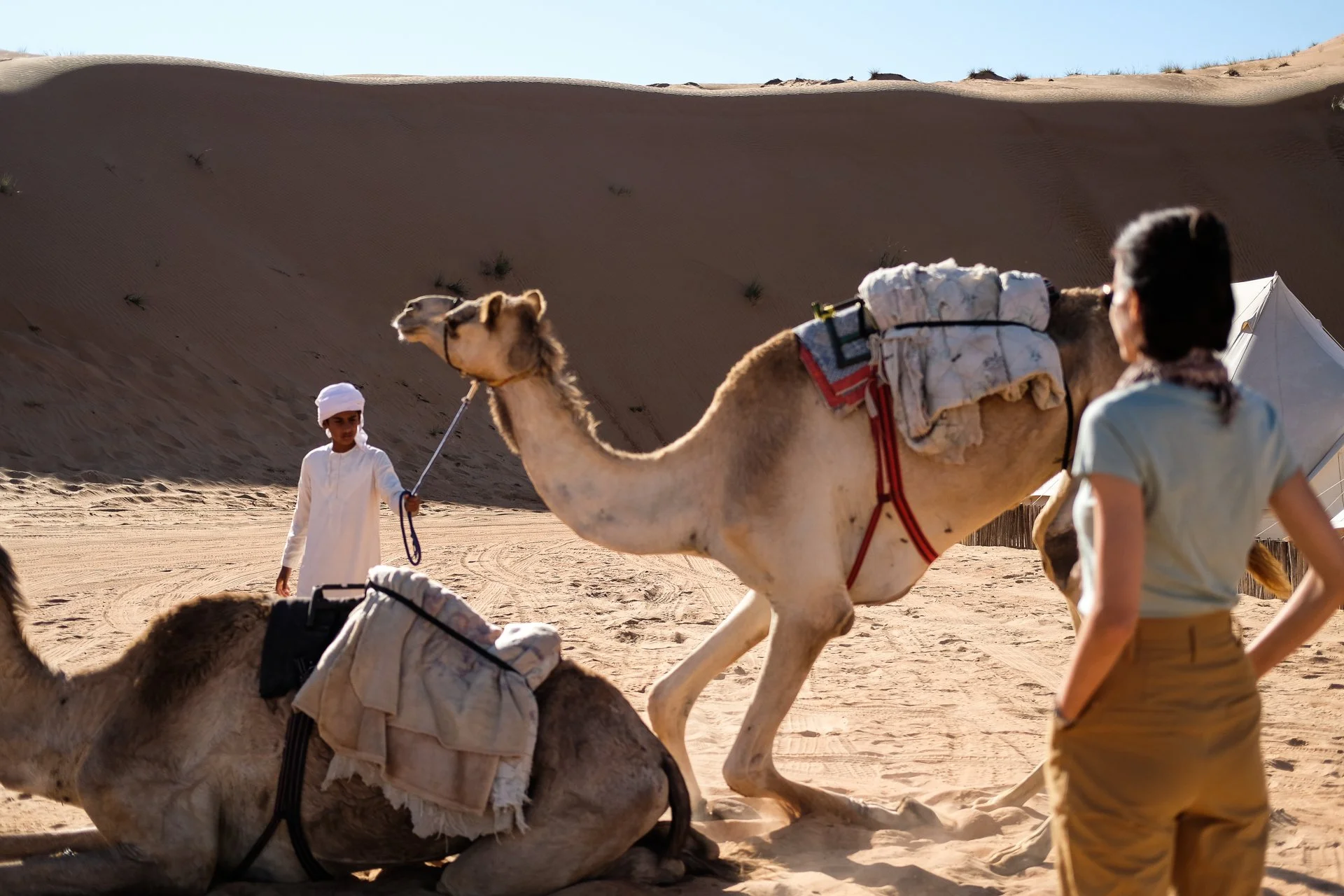 Two camels with saddles in a desert setting, one led by a person in traditional attire, with another person observing beside a tent.
