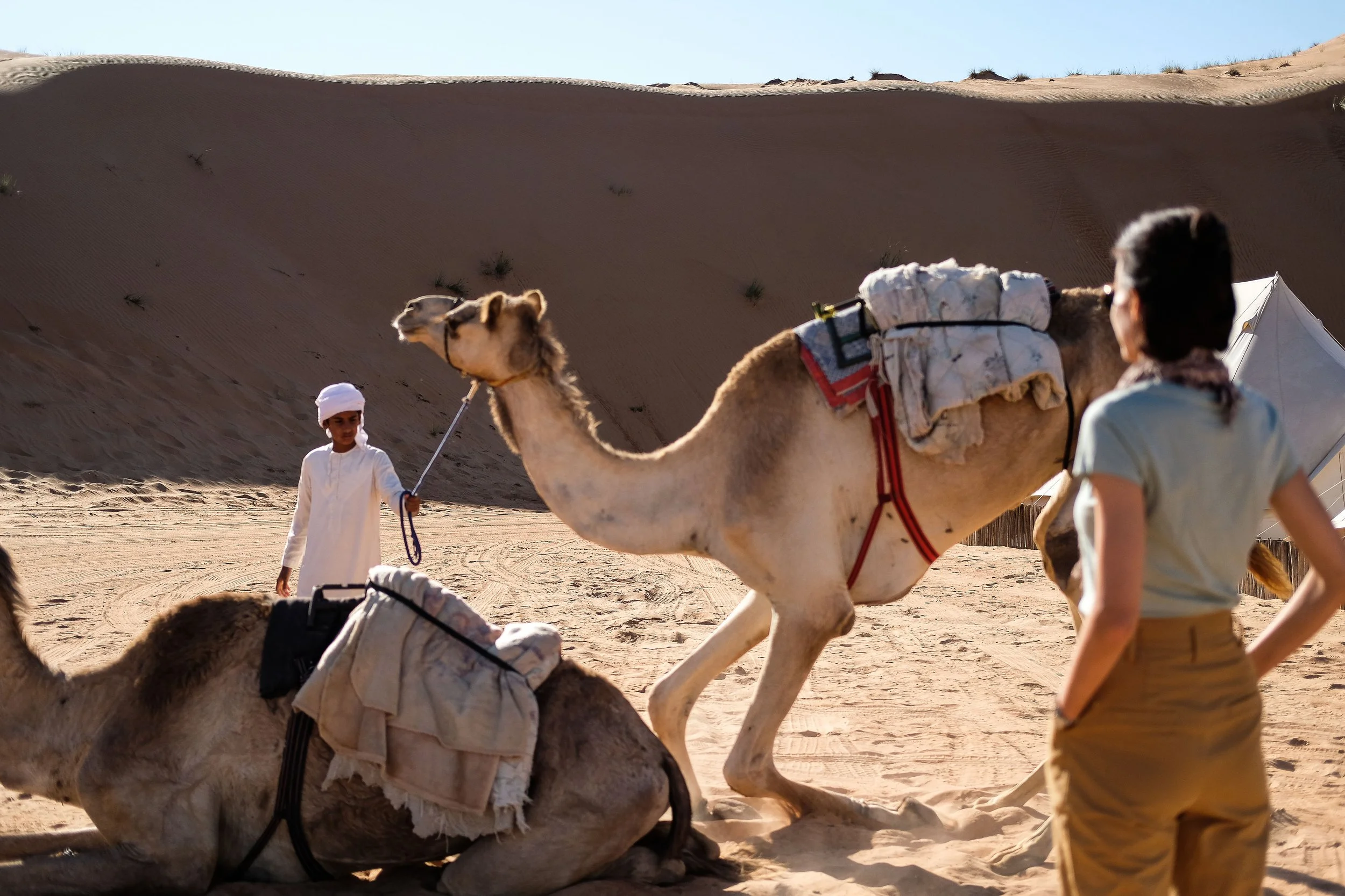 Tourist women in desert camp looking at Bedouin boy preparing camel for ride.