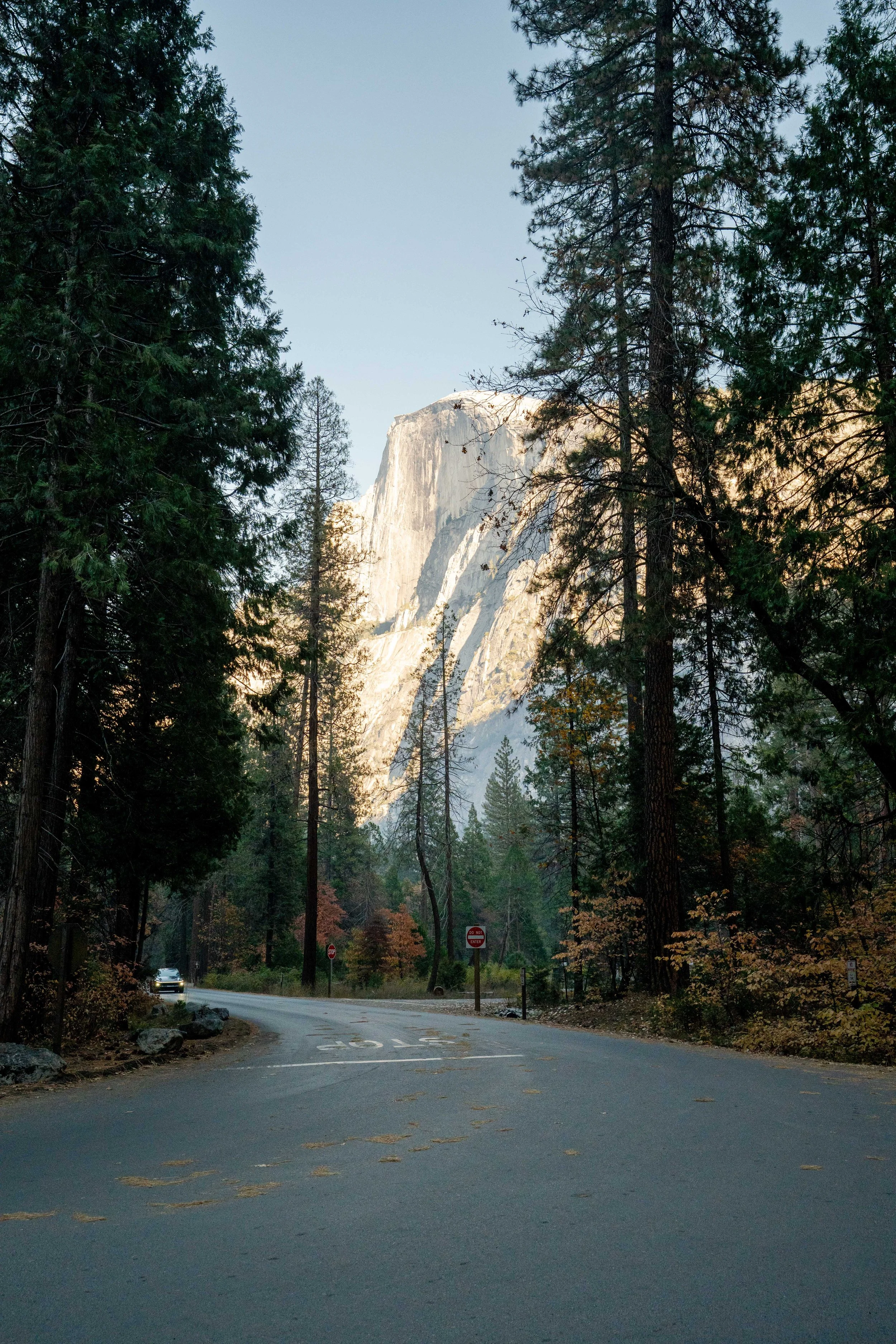 2025-11 | Parker Floris | Creator Camp Yosemite-79.jpg