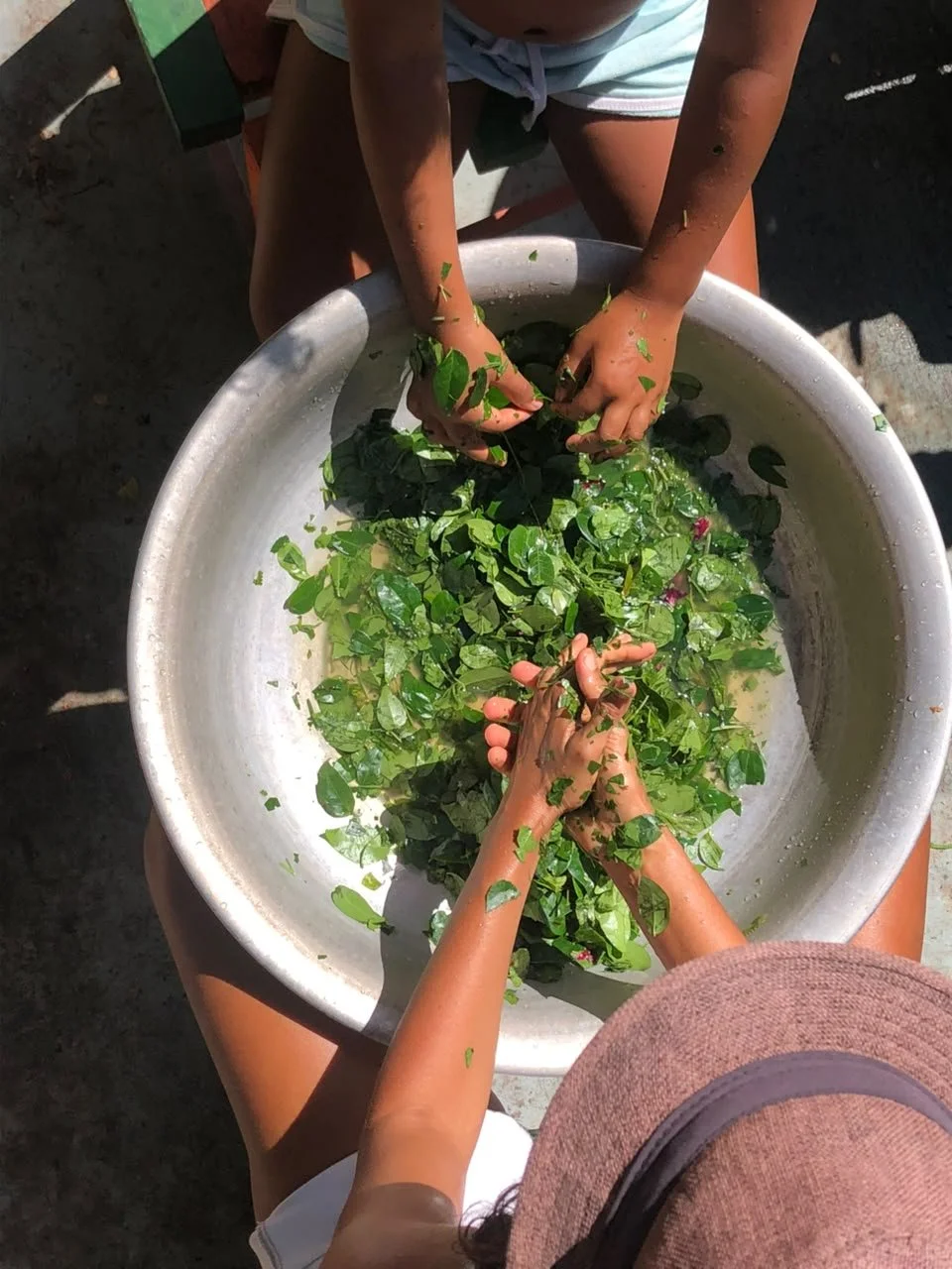 Closed event, The Neuro-Artisan Bioeconomy Initiative - Alkaline saponification: 1 month dedicated to Huni Kuin, Indigenous Women, Feiljo and Jordão, Acre.