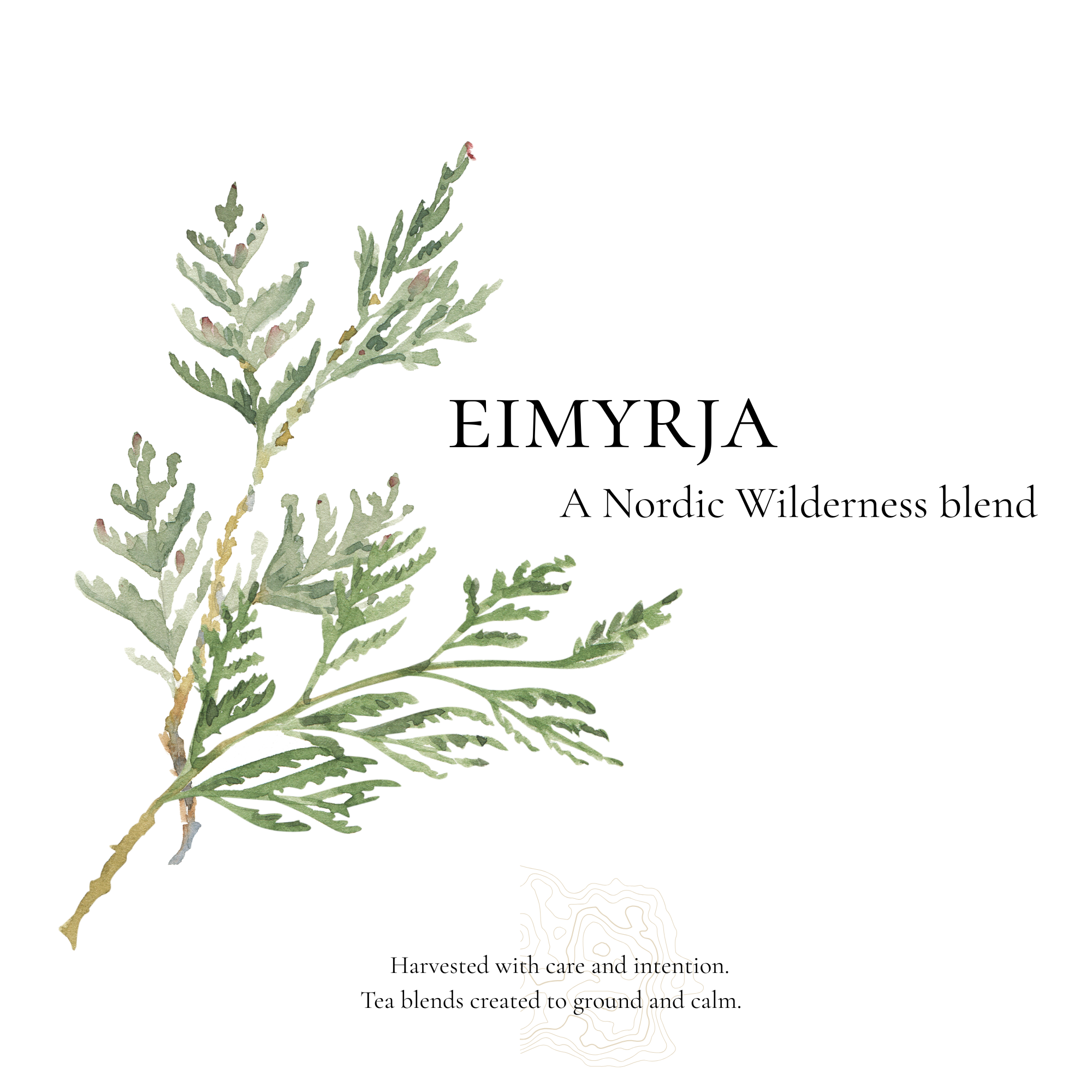 The Nordic Wilderness loose tea blend