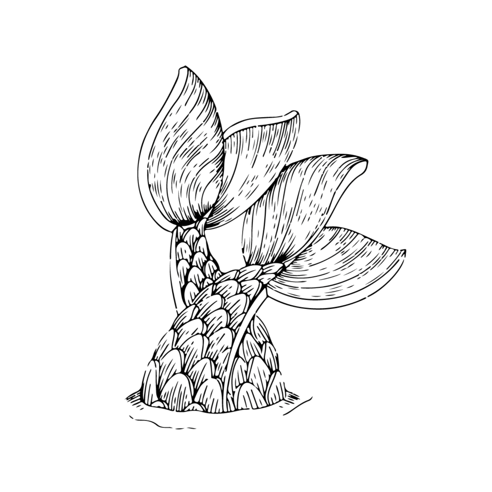 Silhouette of a man holding a bow and arrow, standing on a hill at sunset.