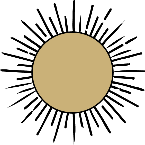 A beige circle with a thick black outline on a black background.