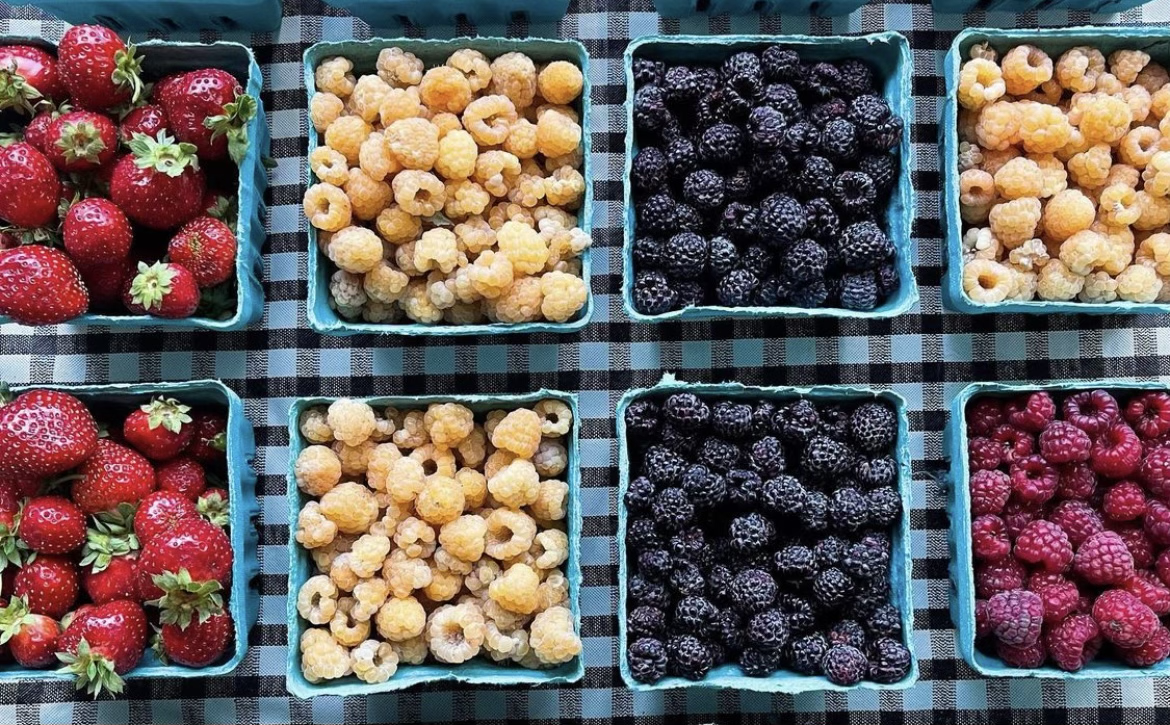 Baskets of fresh strawberries, yellow raspberries, black blackberries, and red raspberries on a checkered black and gray tablecloth.