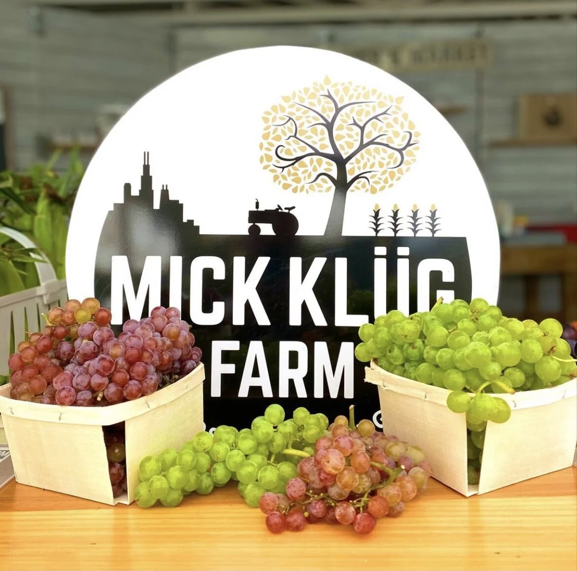 Grapes in wooden baskets in front of a sign for Mickey Kliing Farm with a tree, tractor, city skyline, and crops in the background.