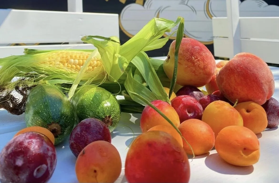 A variety of fresh fruits including peaches, plums, apples, and corn on the cob on a white surface outdoors.