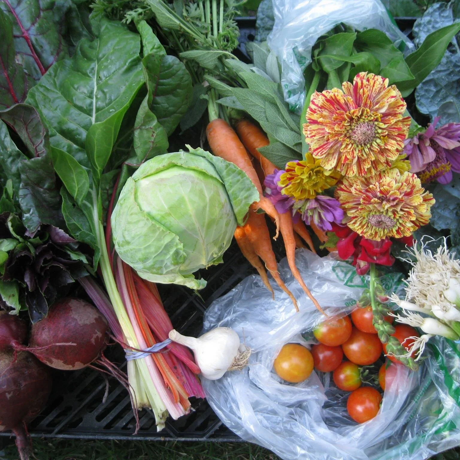 About Our Work — Fresh Food Connections