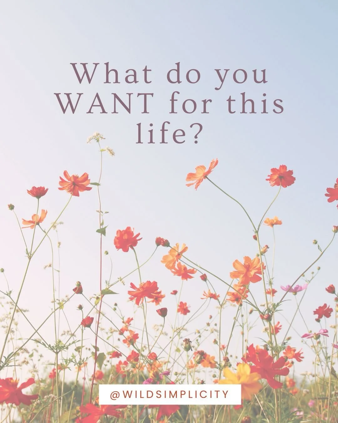 What would it feel like to move through life with more magic? 
To notice the magic? 
To be attended to the magic?

If you&rsquo;d like to learn how then come and join me as I move house and do it a different way. Moving through life and transitions i