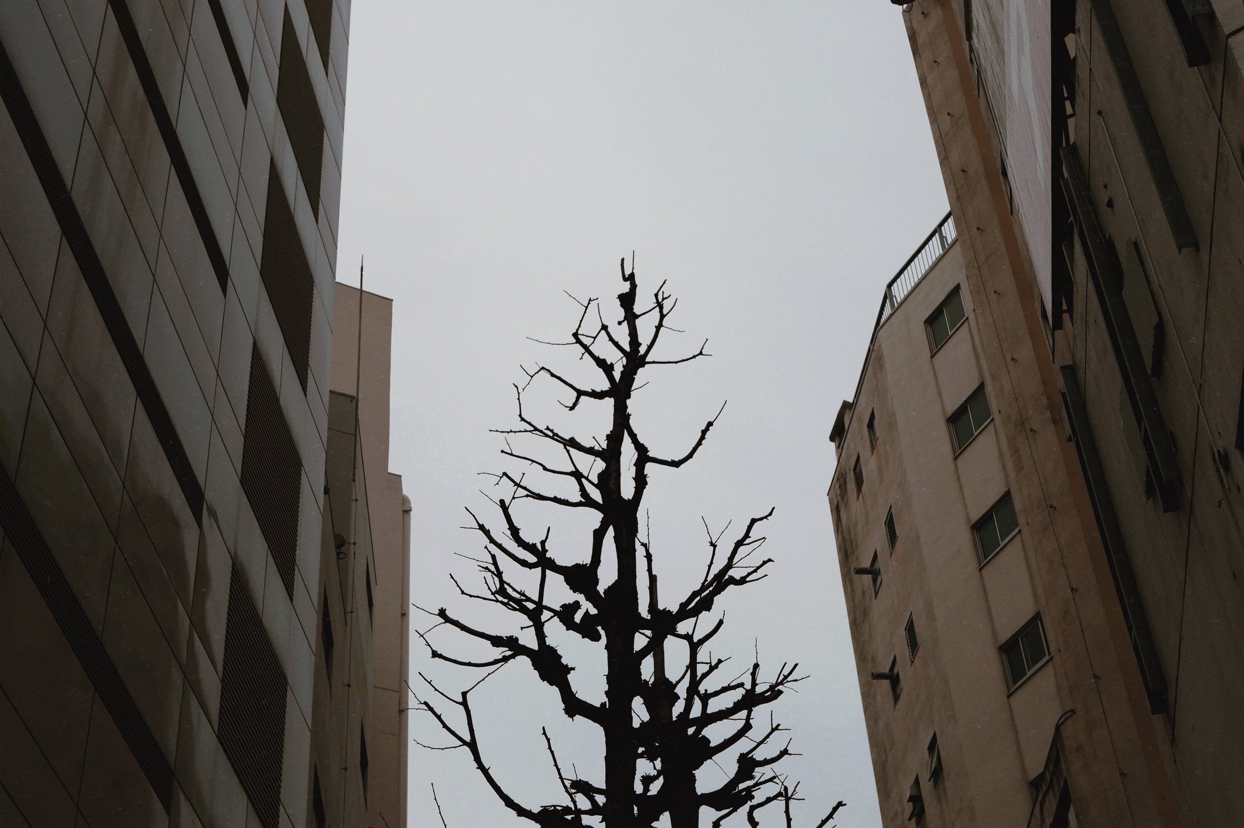 tempImageForSave 3.jpg