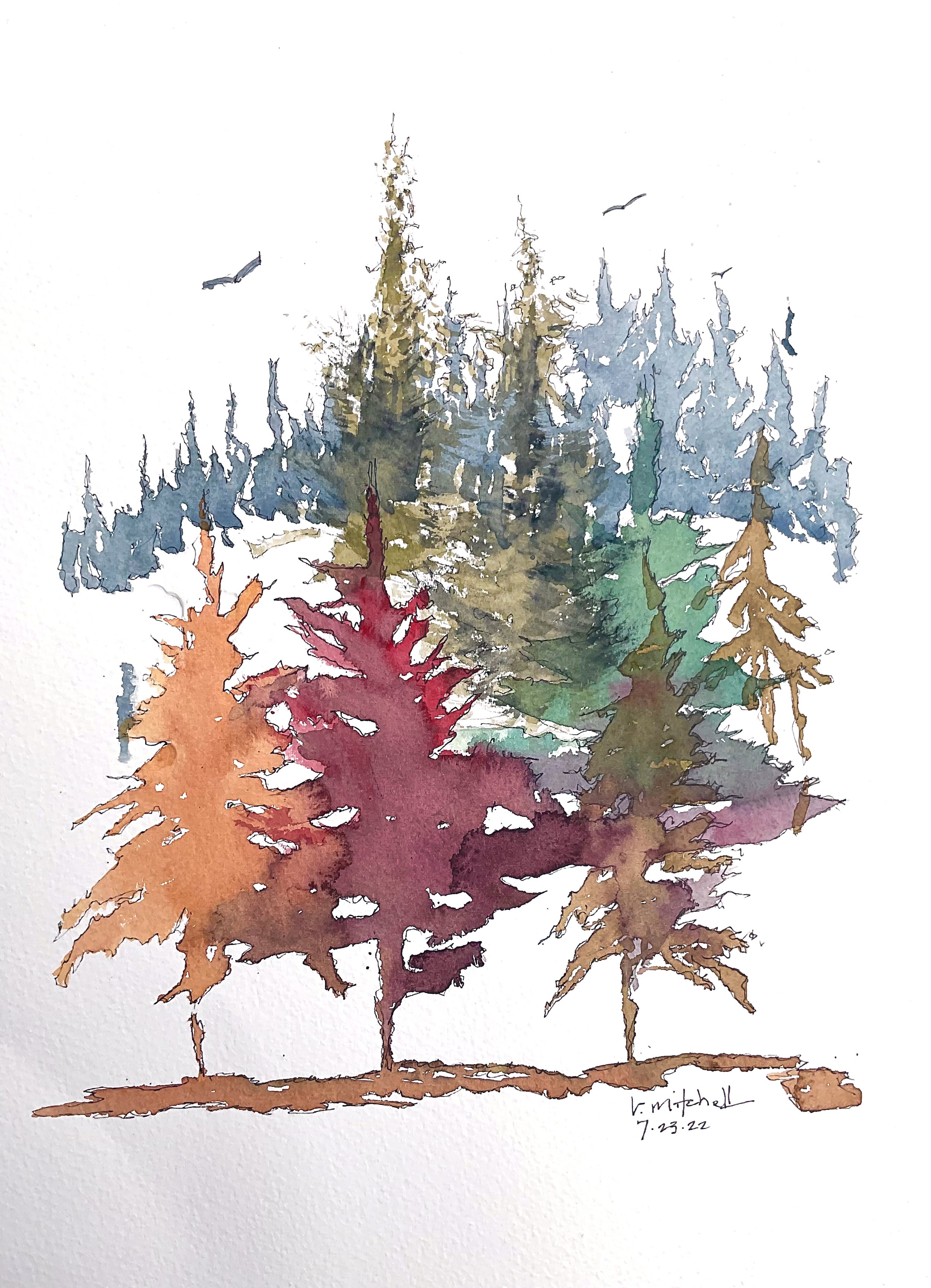 Colorado Pines