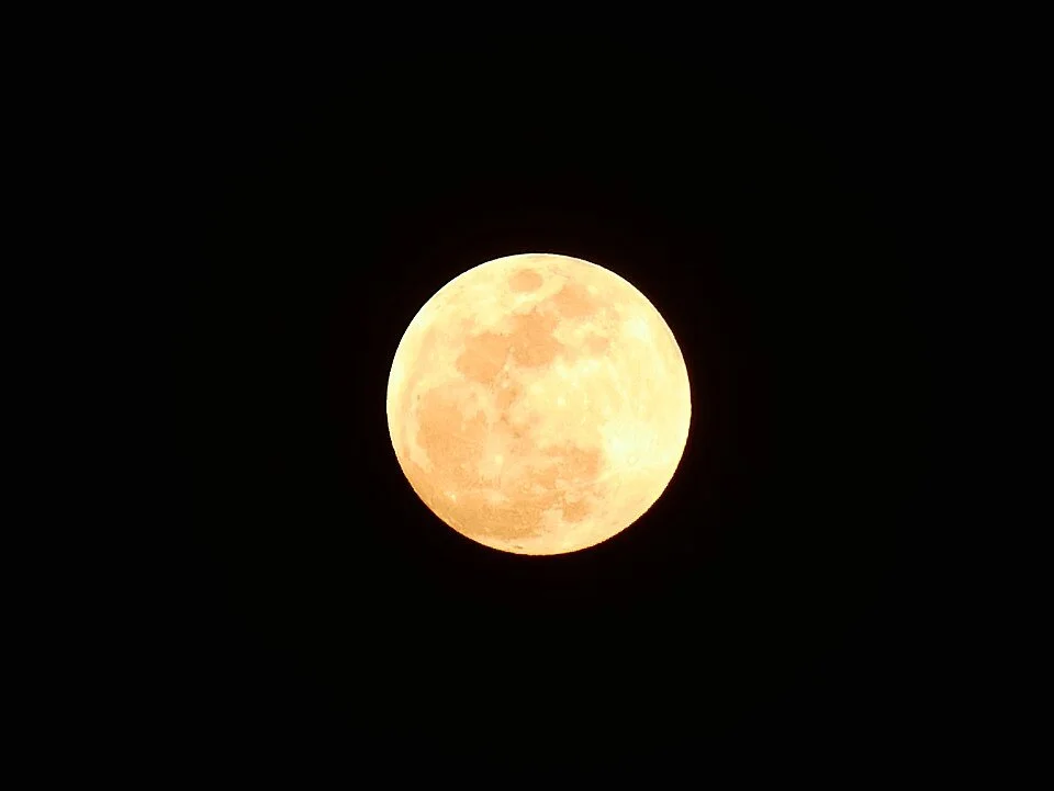 Full Moon Bat Hike