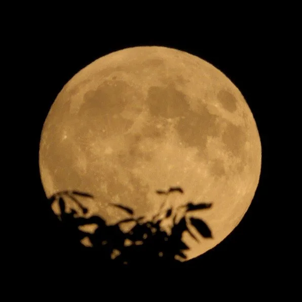 Full Moon Hike: Corn Moon
