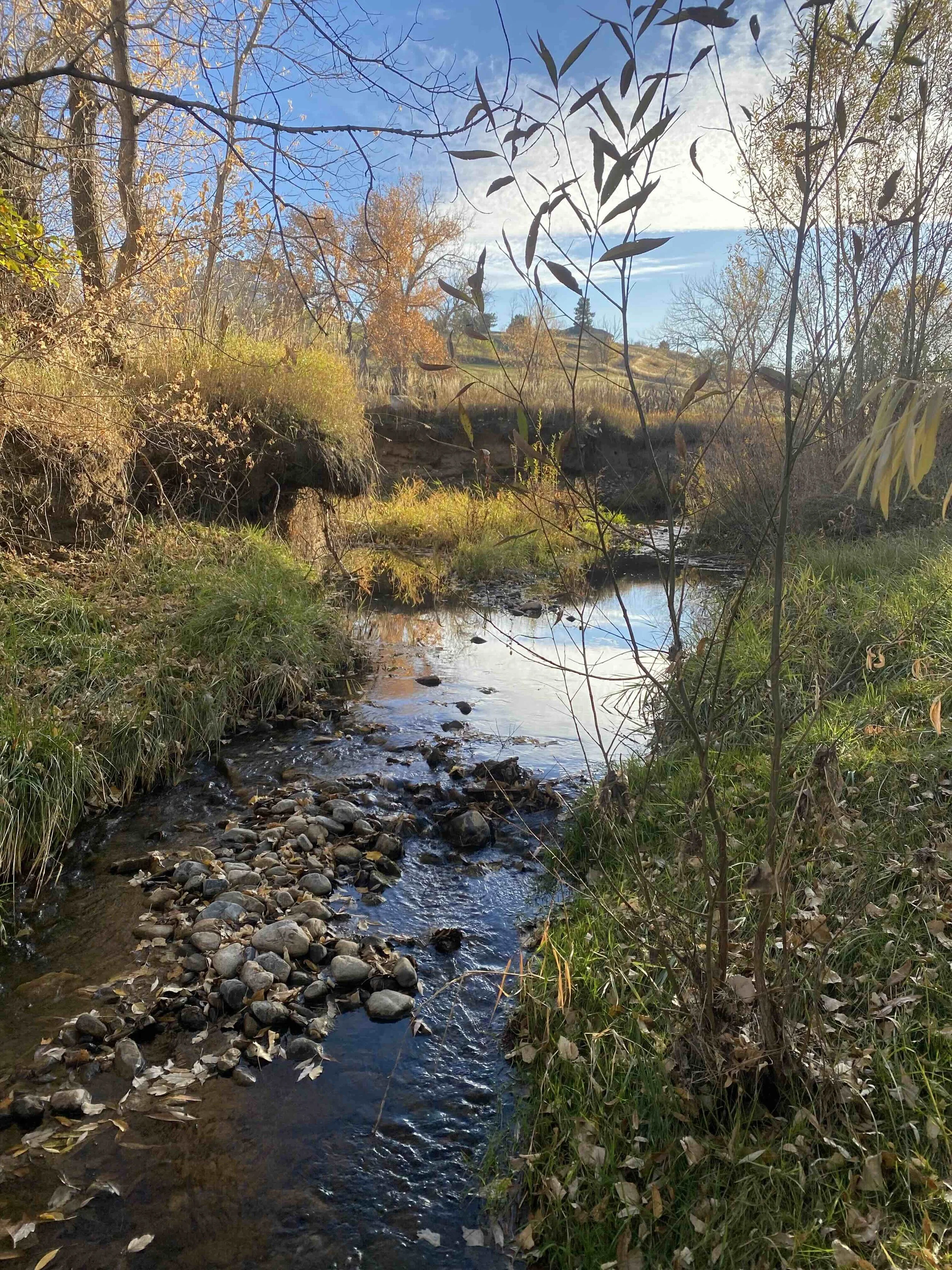 Citizen’s Group: Strengthen Protections for Louisville Open Space
