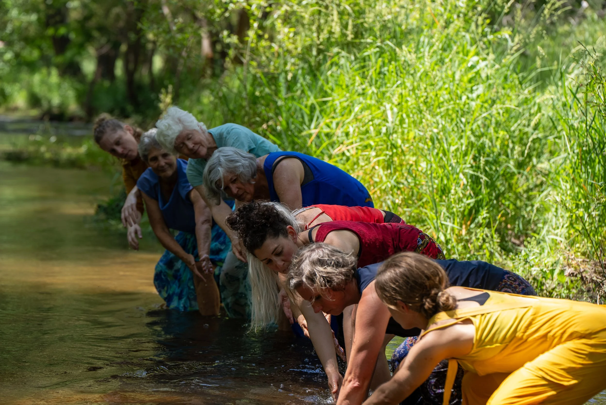 Coal Creek Water Dance Free Performance