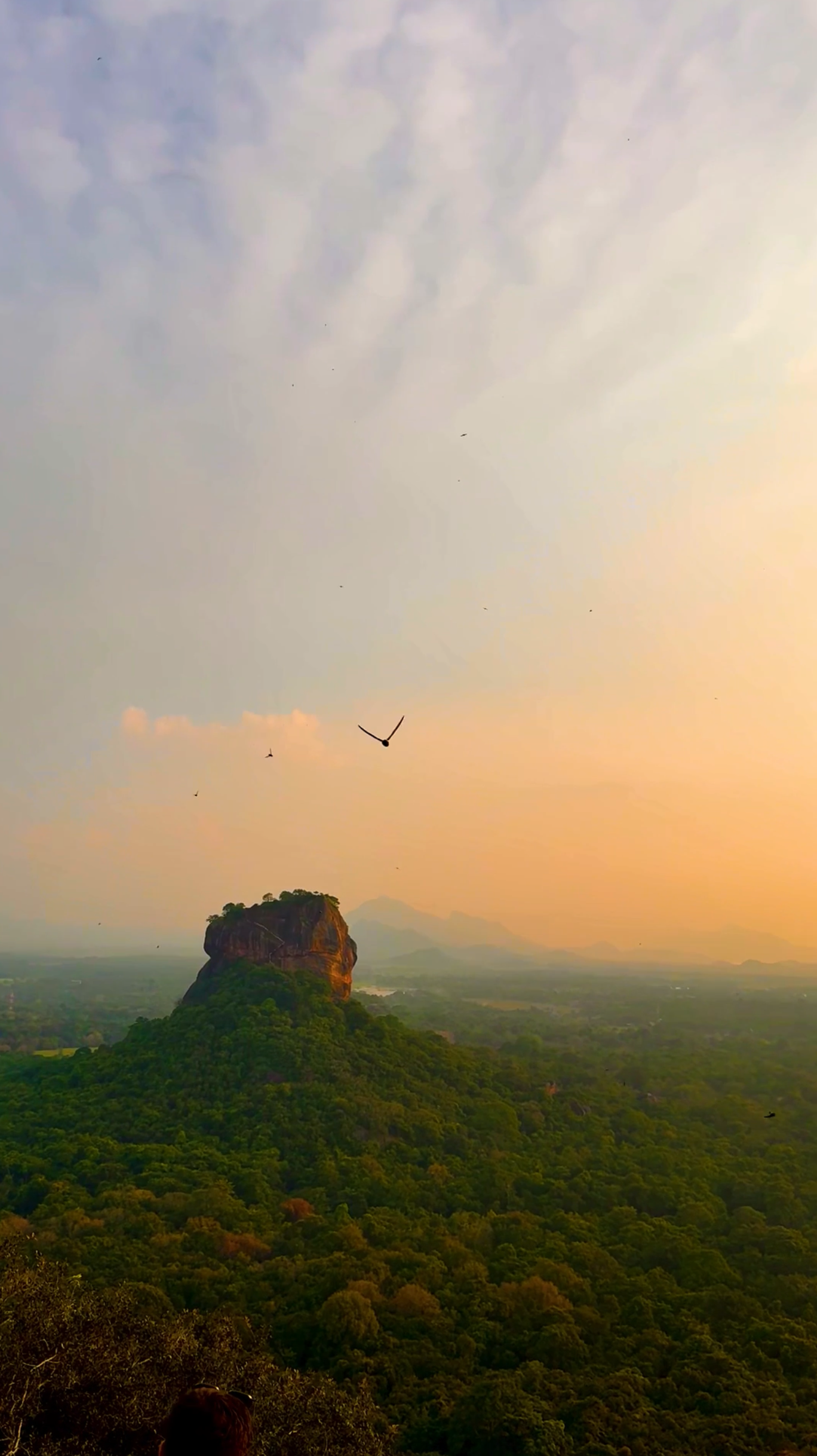 Captura de ecrã 2025-11-05, às 17.41.31.png