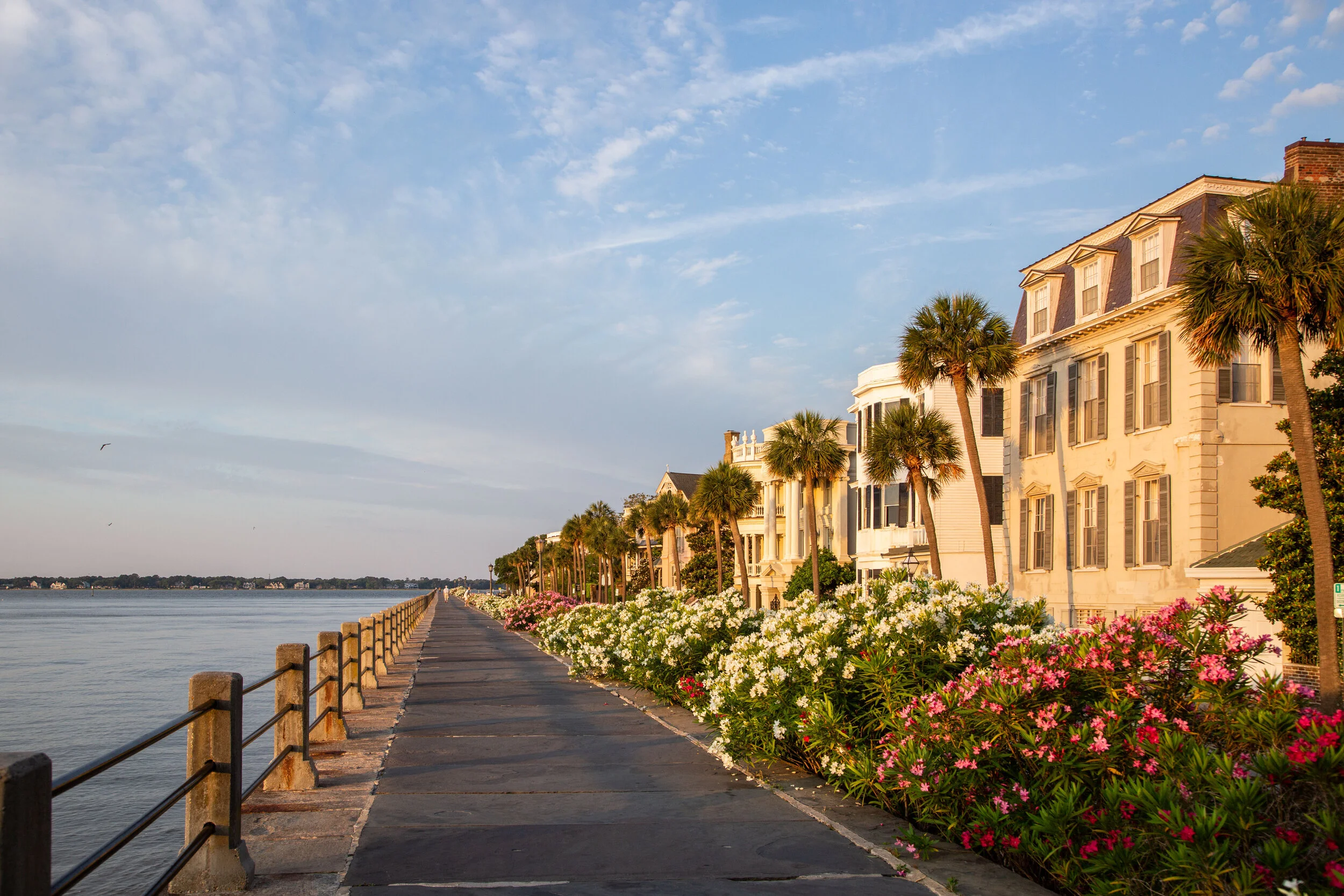 The History of The Charleston Battery — Justin Falk Photography