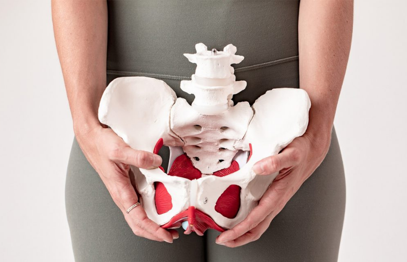 pelvic floor physio.png