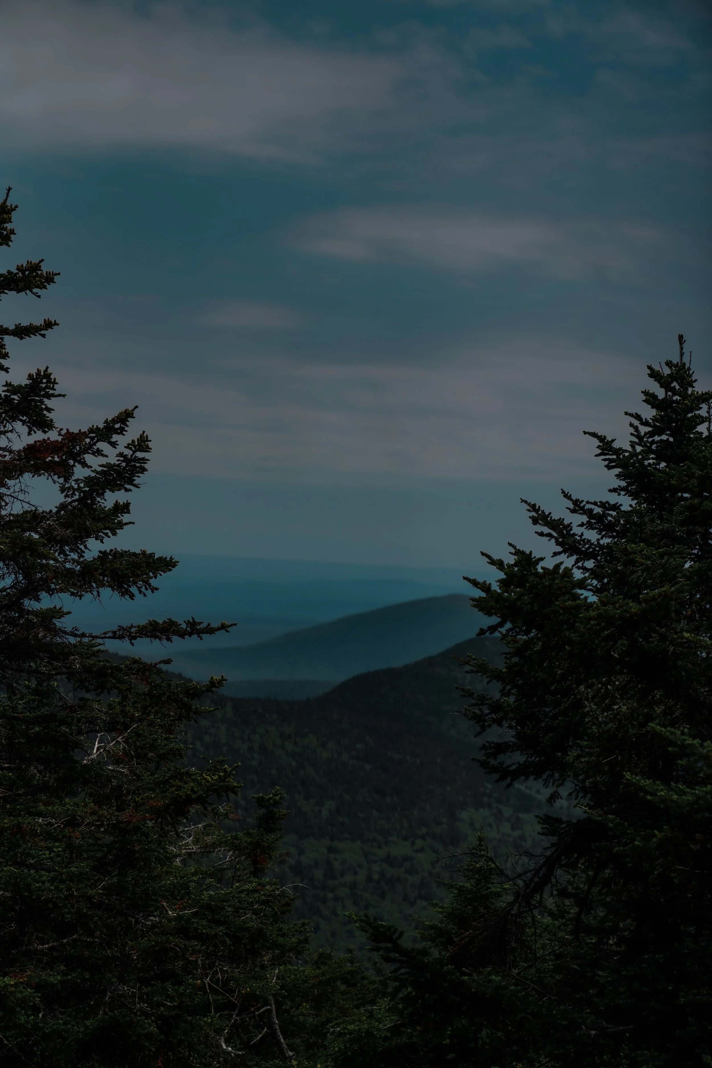 DSC01370-2.jpg