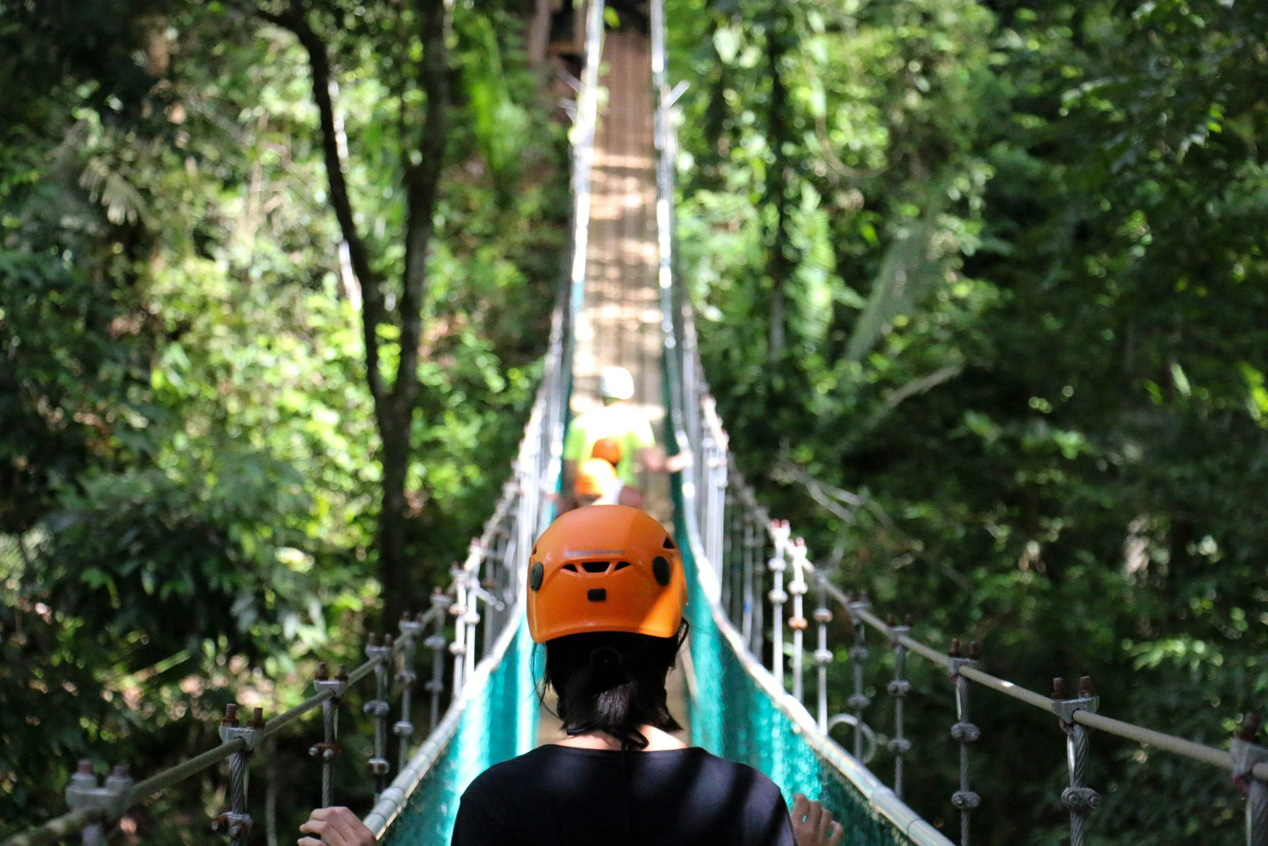 A person wearing an orange helmet crosses a suspension bridge in a lush green forest, symbolizing the journey of trauma healing, courage, and moving forward with support.