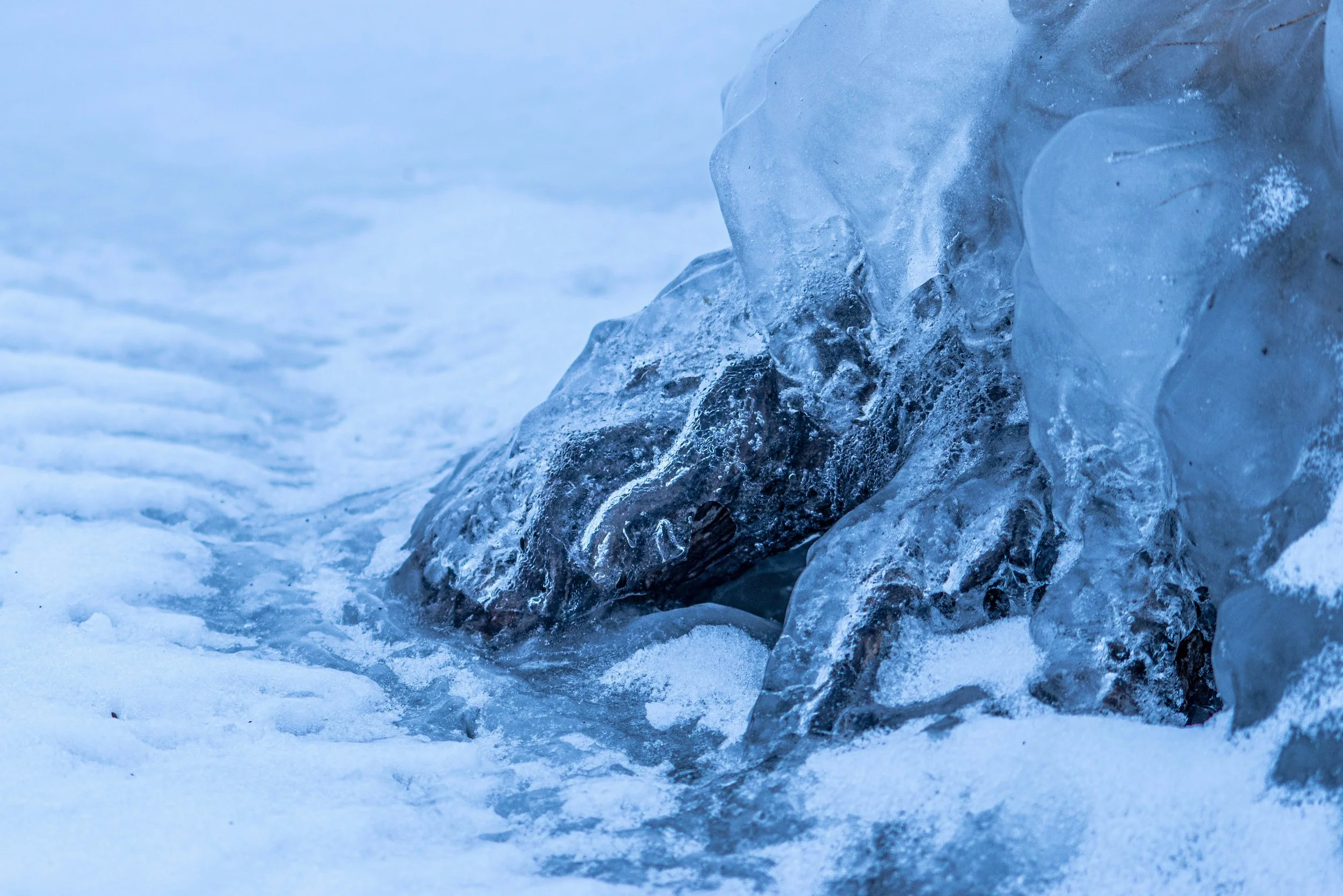 Ice encasing rocks in blue frozen water representing the freeze response.
