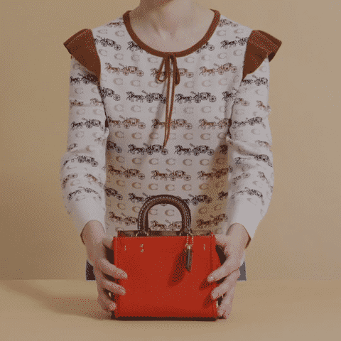 Shot  5 (1-1).mp4-low.gif