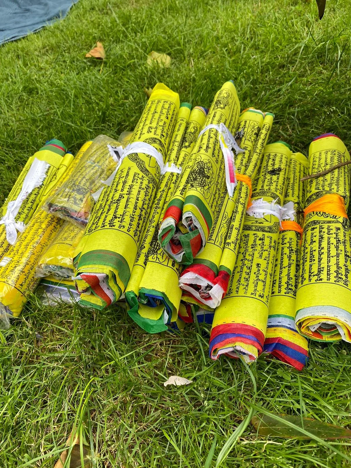 WhatsApp Image 2021-06-22 at 11.27.46 AM.jpeg