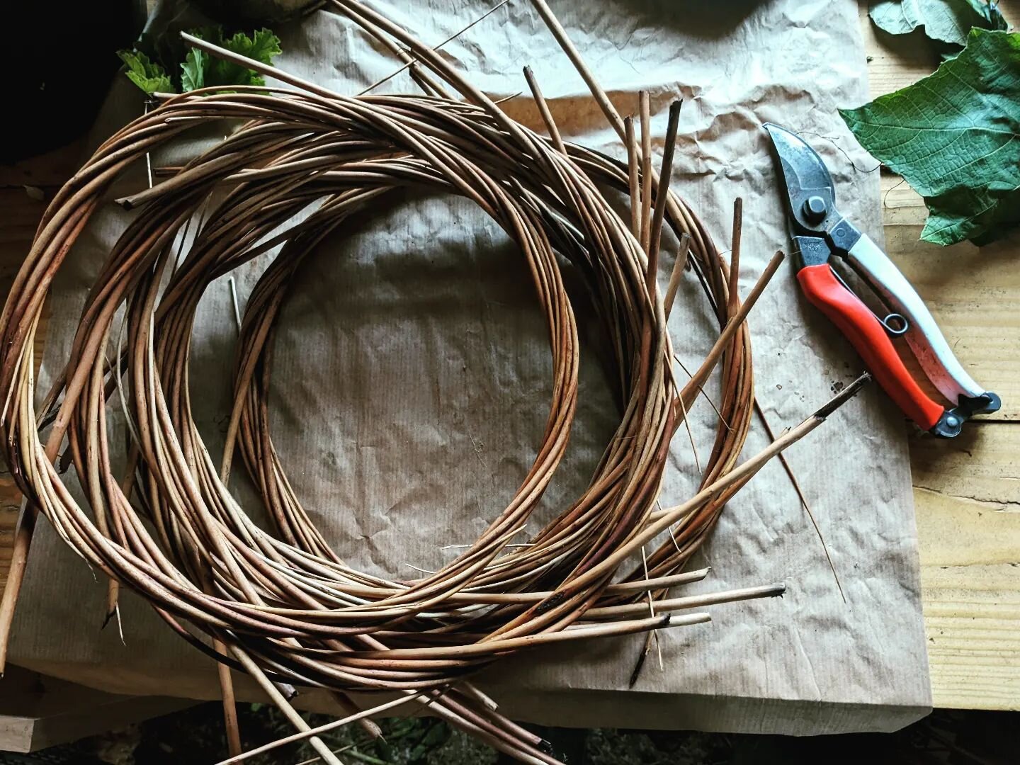 'Tis the season! At least, the season to prepare. Would anyone like to come and make wild and lustrous wreaths with me? We get to listen to folk music, drink whiskey and hang out in a neo-dark age barn. And wrest objects of beauty from vine and bloom