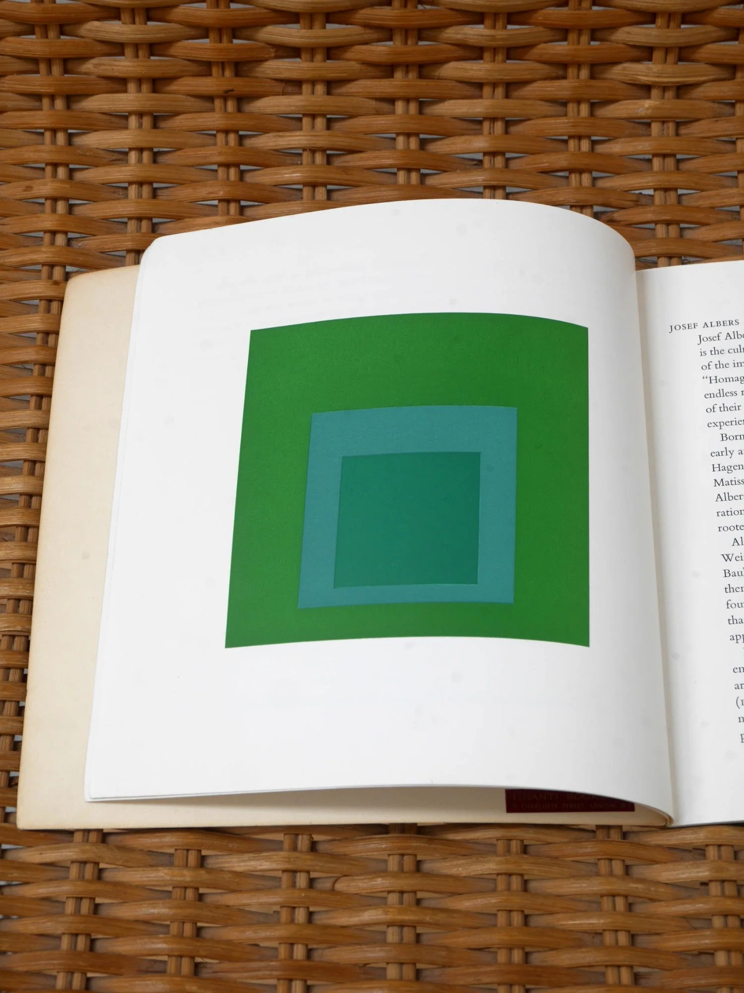 Josef Albers Homage to the Square MOMA catalogue