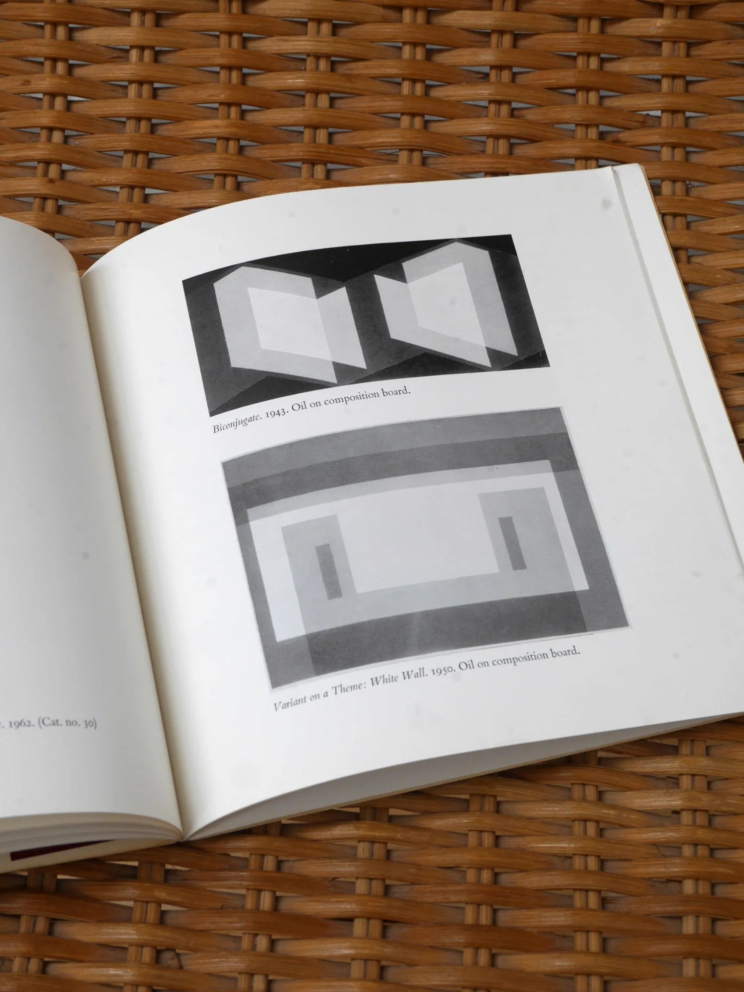 Josef Albers Homage to the Square MOMA catalogue