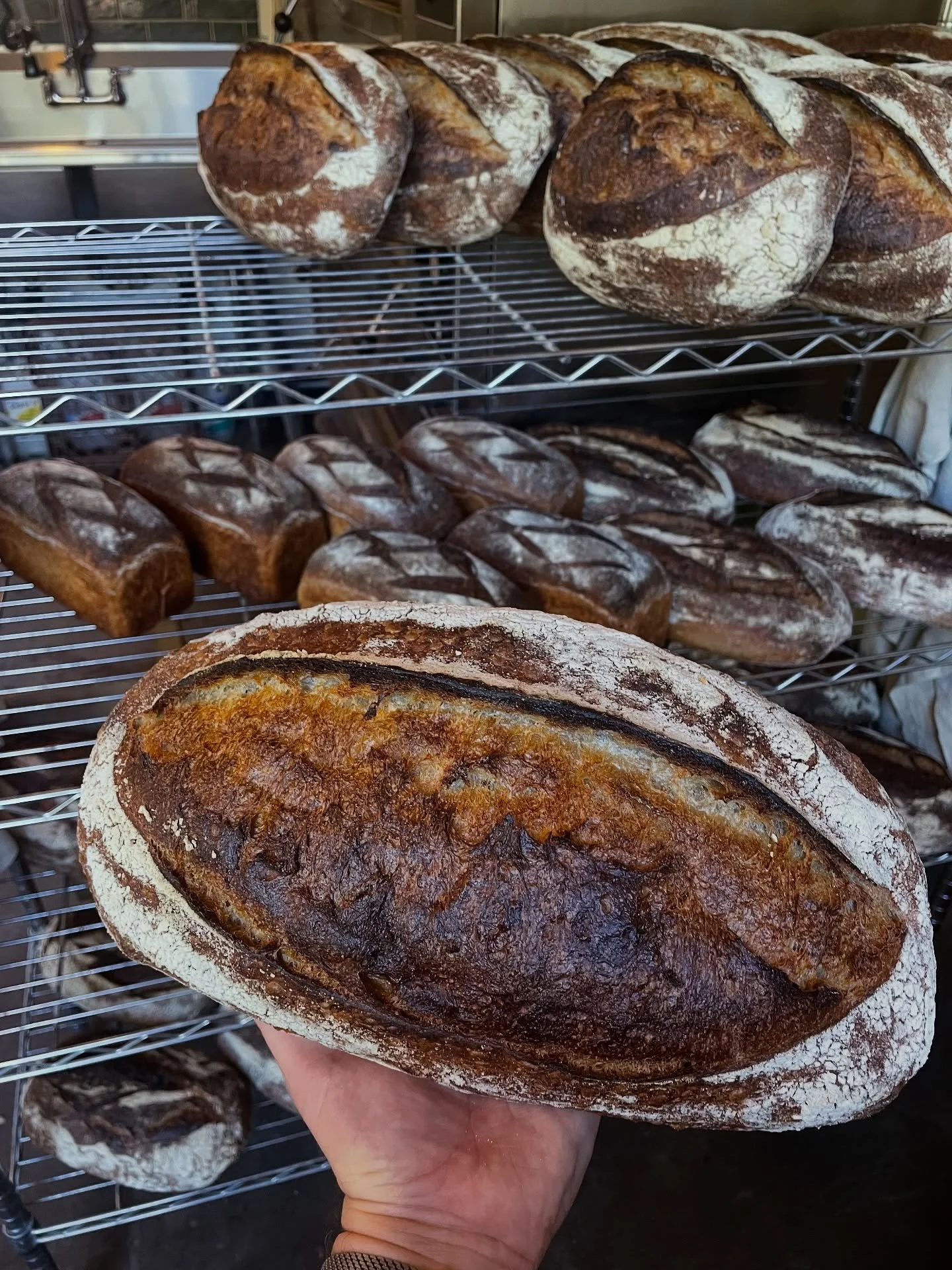 Country mix was 80/20 @cairnspringmills t85 trailblazer @chimacumgrain Salish blue 
Lovely soft mix with a creamy crumb