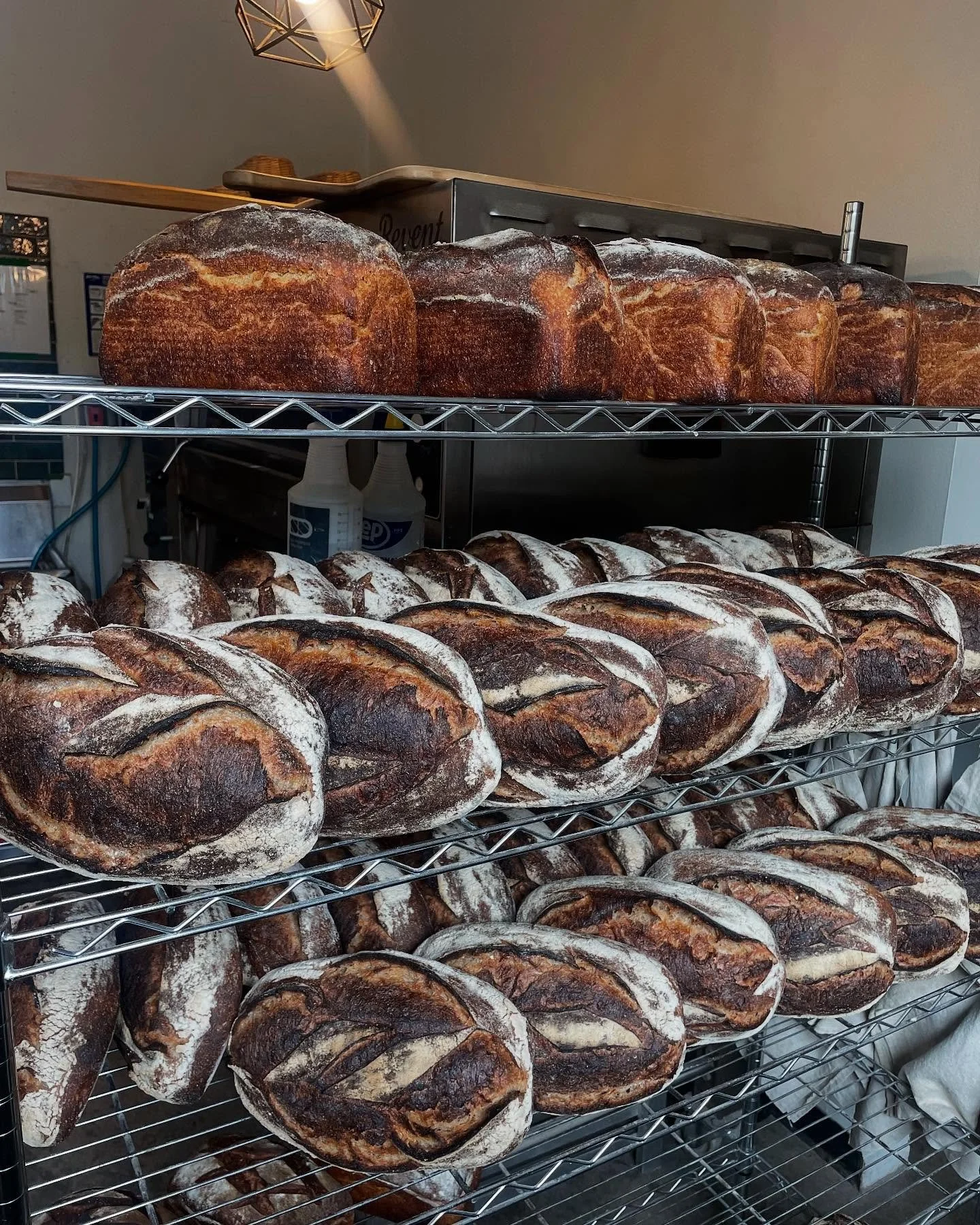 Chimacum Multi-Grain&rsquo;s &amp; Sesame Spring Onion Bialys from today! Thank you for coming through 🤎