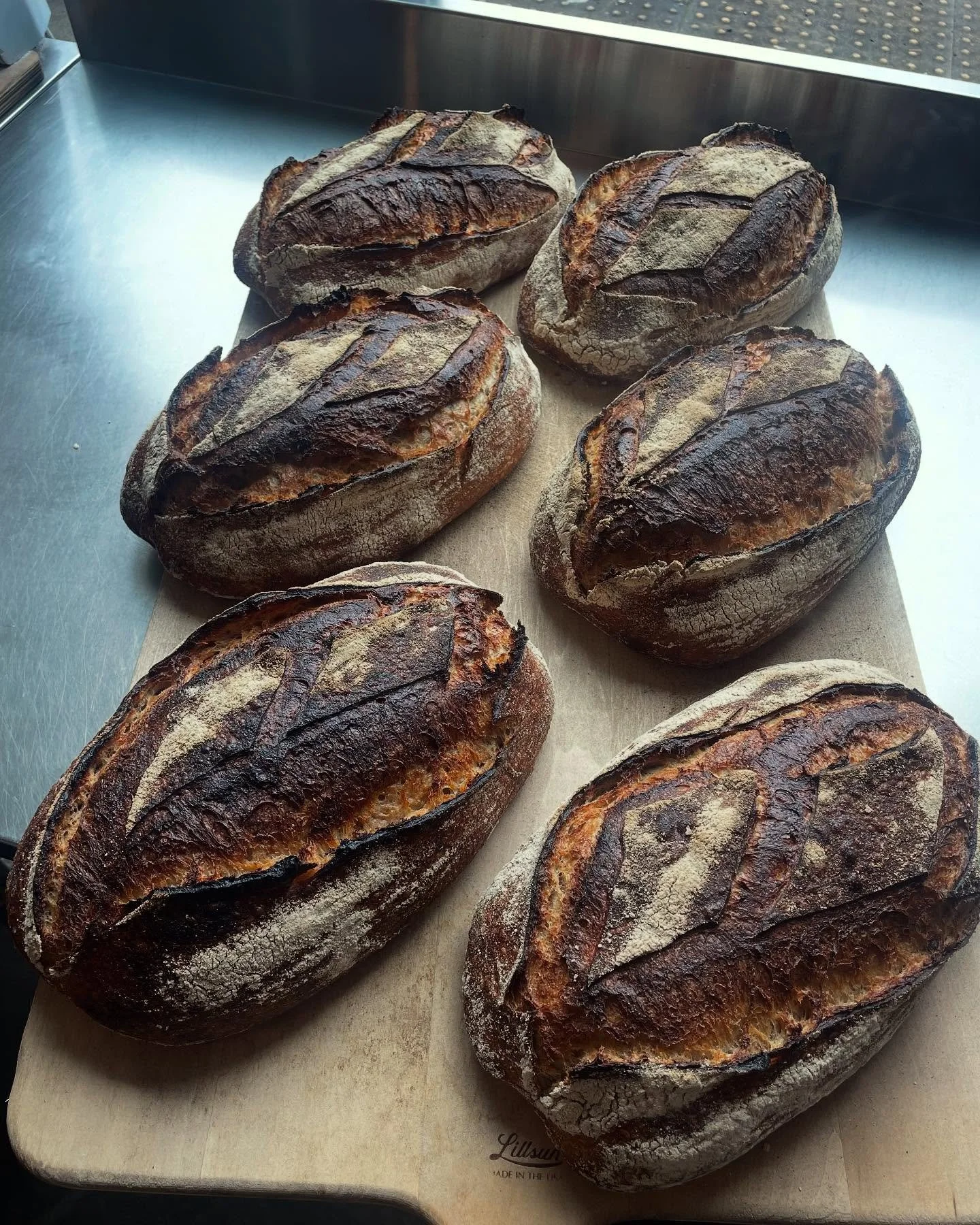 Chimacum Multi Grain Loaf! My goal was to make a loaf with over 50% chimacum whole grain flour but in a batard shape, very hydrated &amp; custardy with loft and I&rsquo;m real happy with the results. Included a 50% scald of rye &amp; spelt as well as