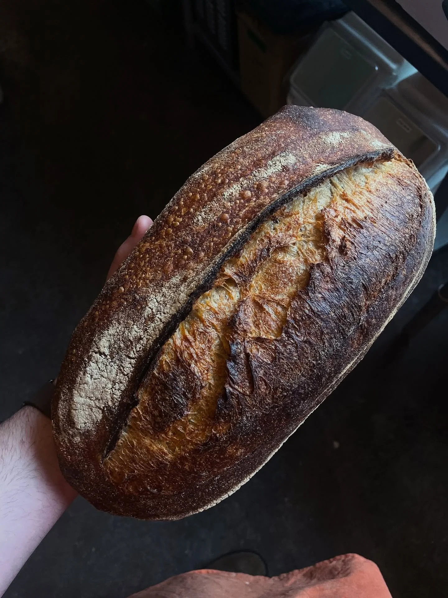 Country &amp; Squash Sage loaf 🎃