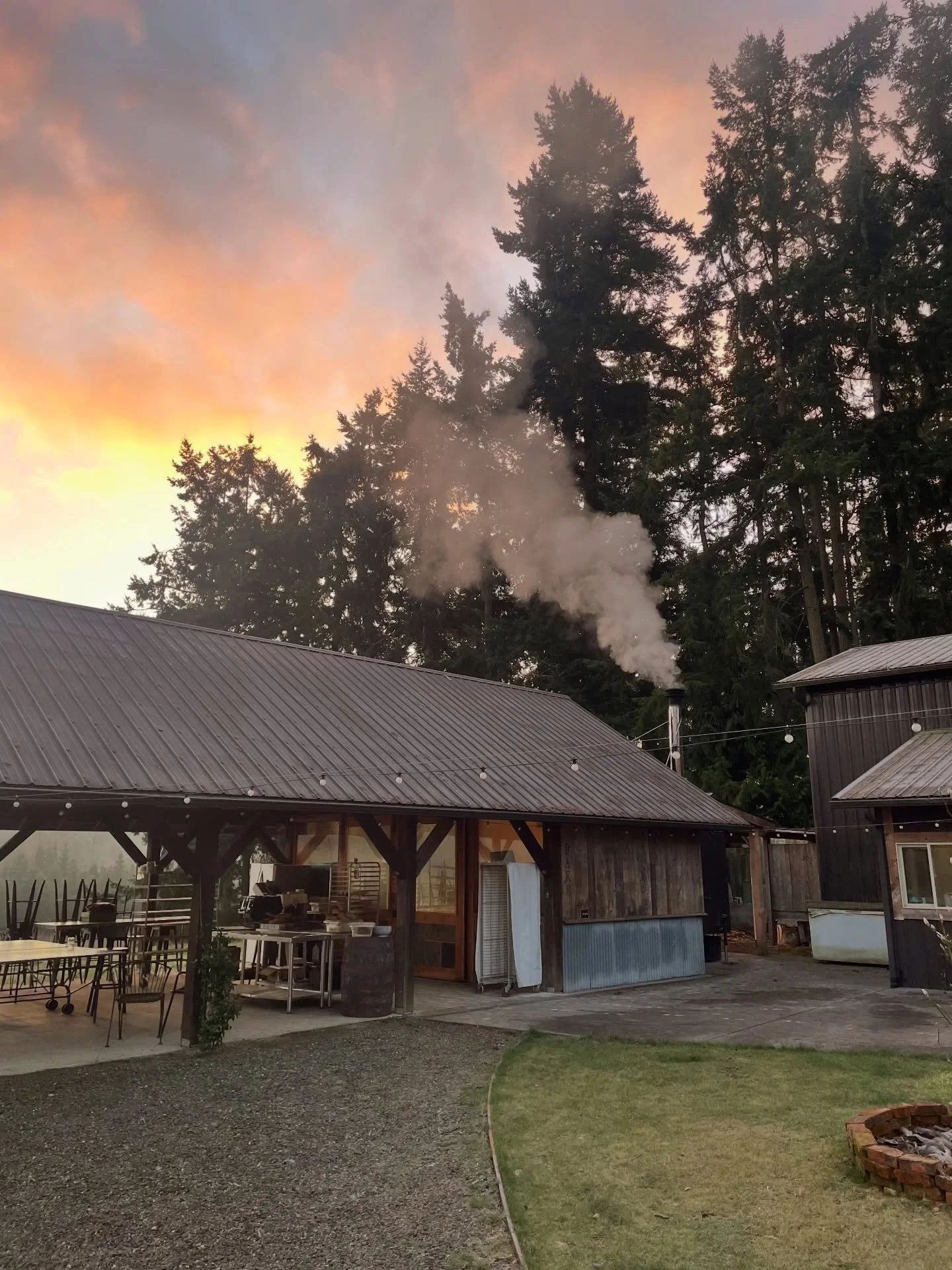 Always such a lovely trip visiting my buds up at Chimacum 🌾🦢