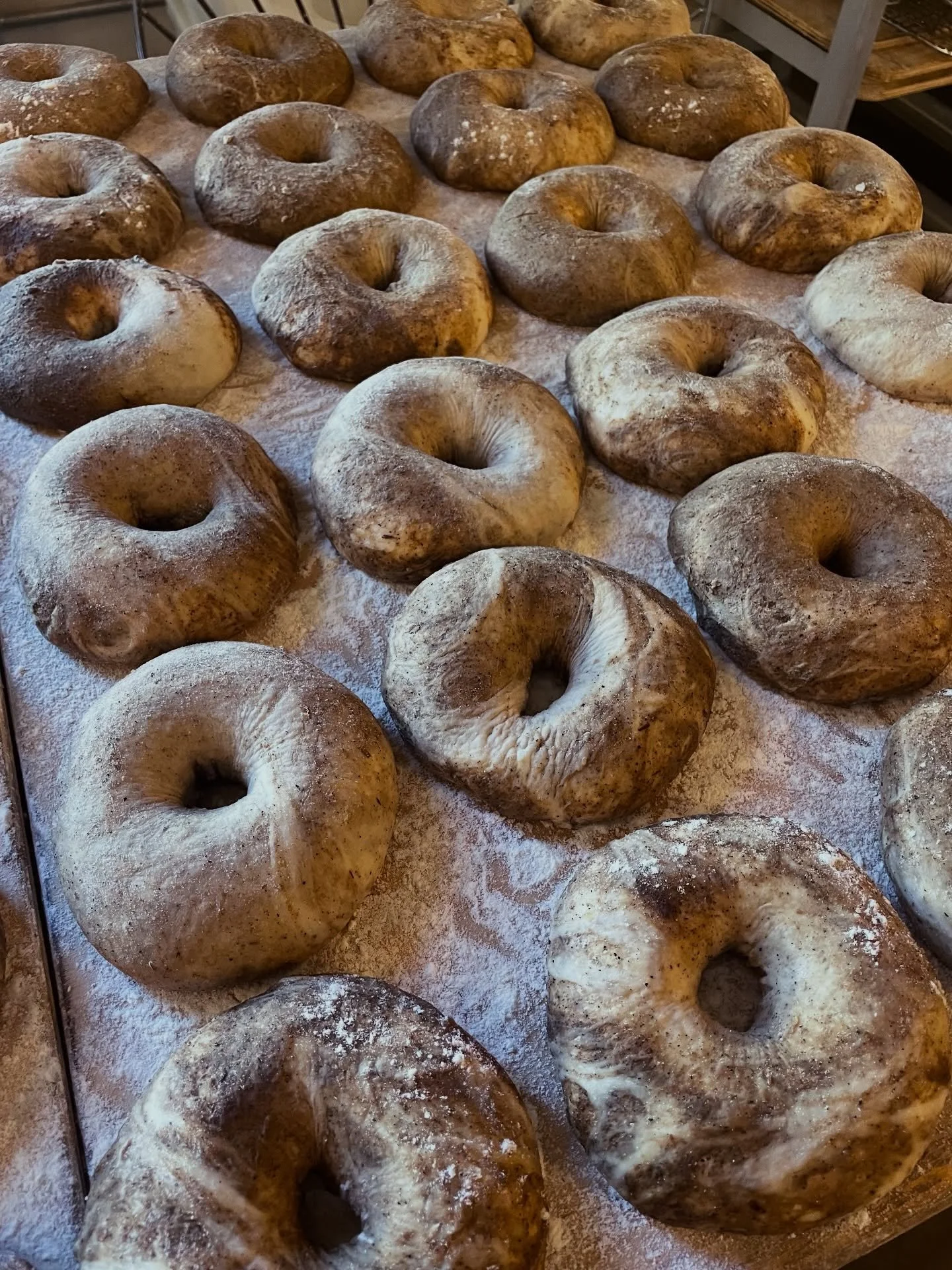 Pumpernickel &amp; Marbled Rye week over here at the weekly pop up! Link in the bio to order along with country loaves, rye bird bread, and @dearfranciscoffee beans 🤎