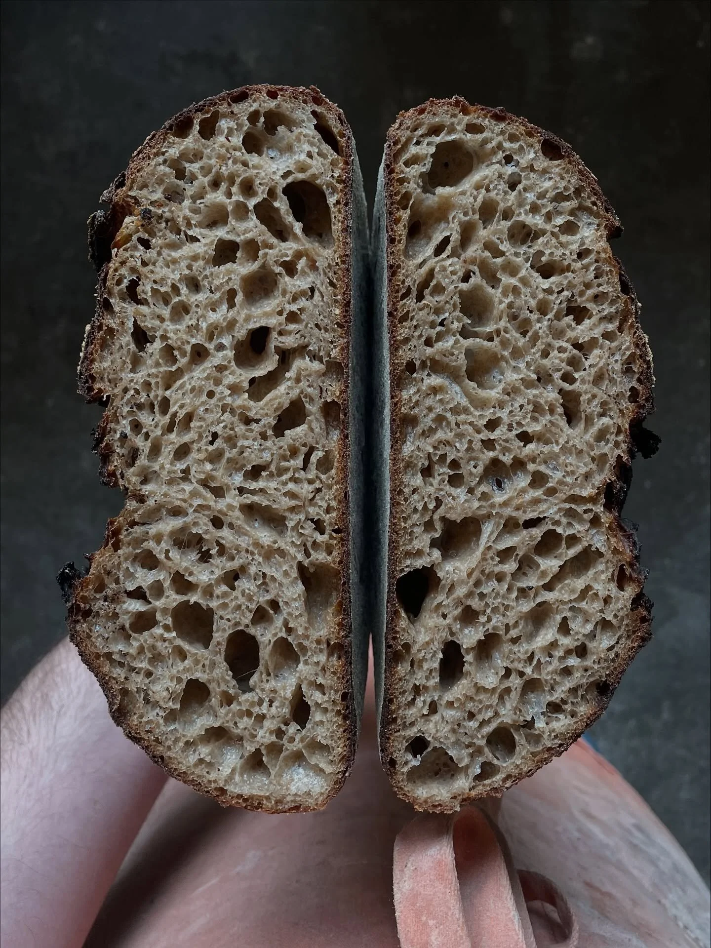All @chimacumgrain loaf ! Forever grateful for them as well as @graisongill &amp; @thedustedstone for helping teach me to work with whole grain doughs to a much deeper level